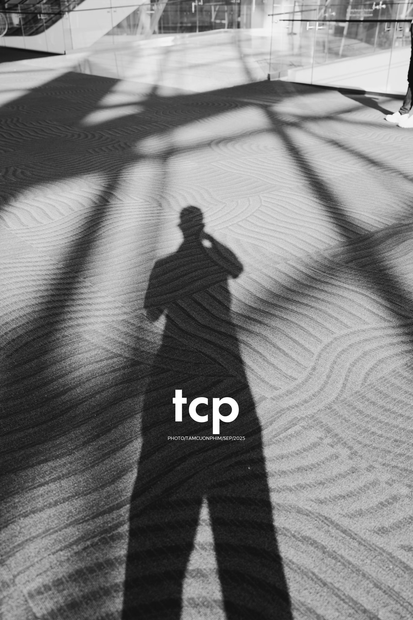 Tám Cuộn Phim - Có ai thấy nôn nao mỗi khi đứng trước những tòa nhà chọc trời ở xứ người không?
