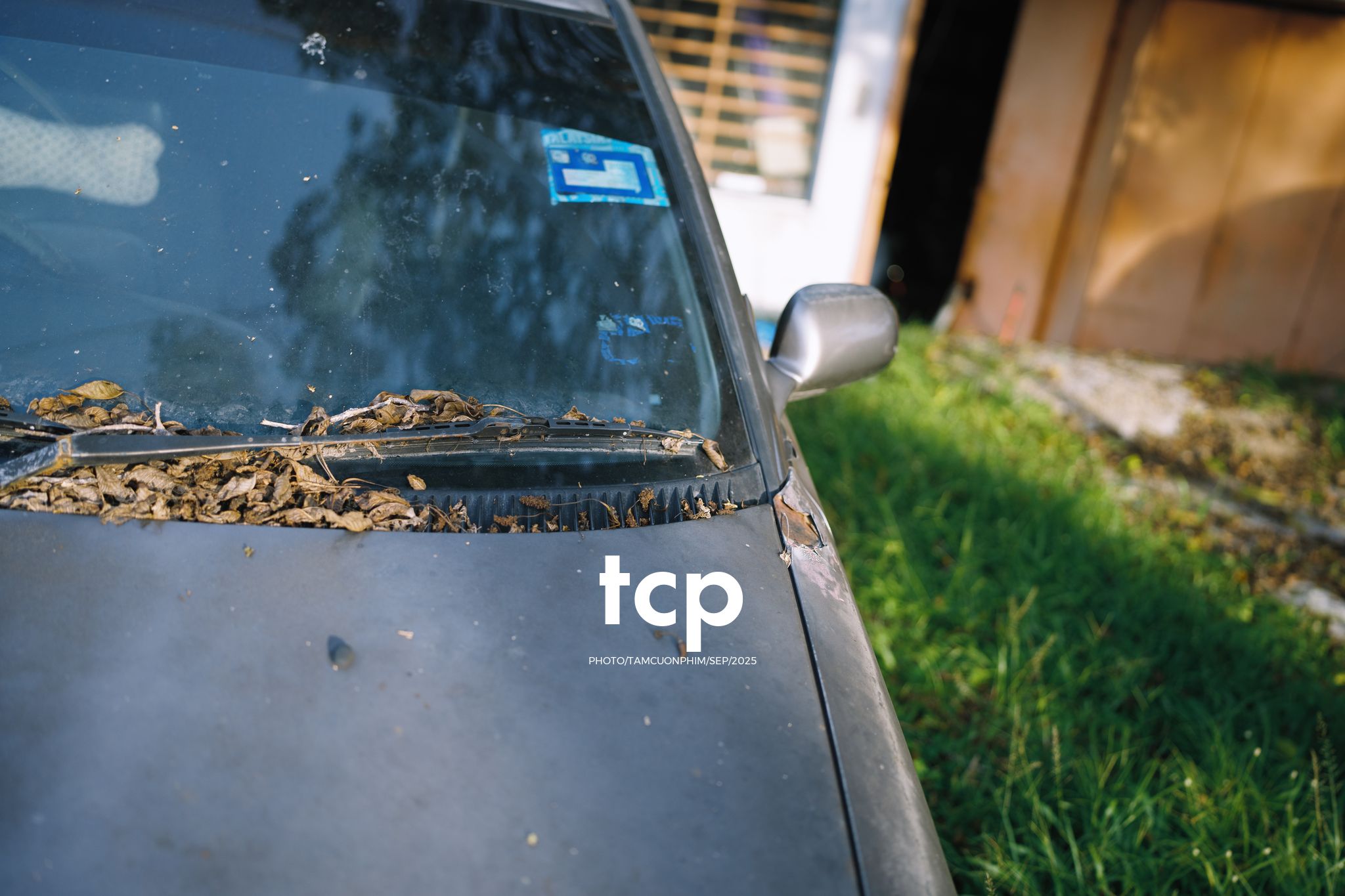 Tám Cuộn Phim - Chill hết nấc với chuyến đi dạo đầy nắng vàng
