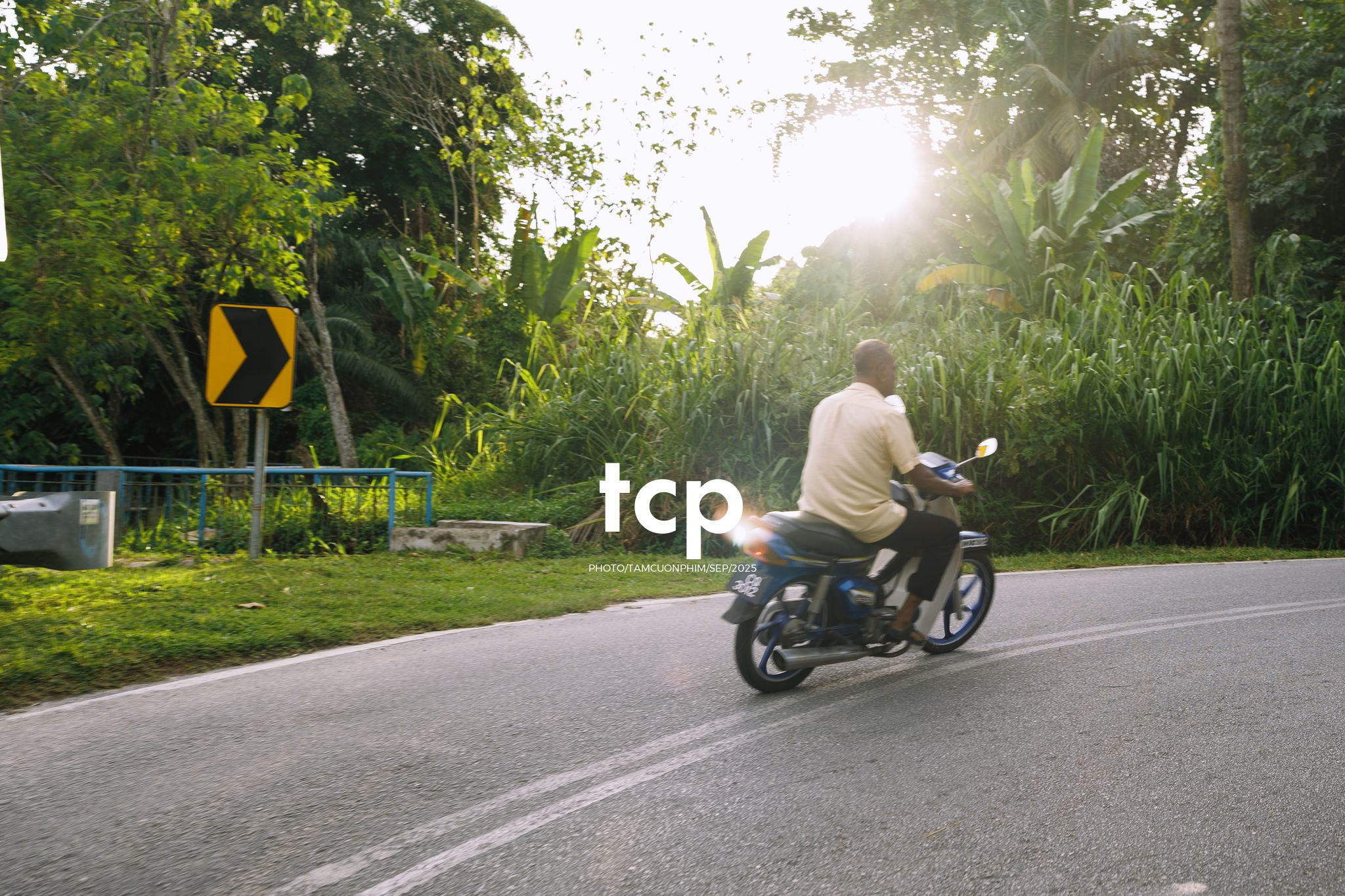 Tám Cuộn Phim - Chill hết nấc với chuyến đi dạo đầy nắng vàng