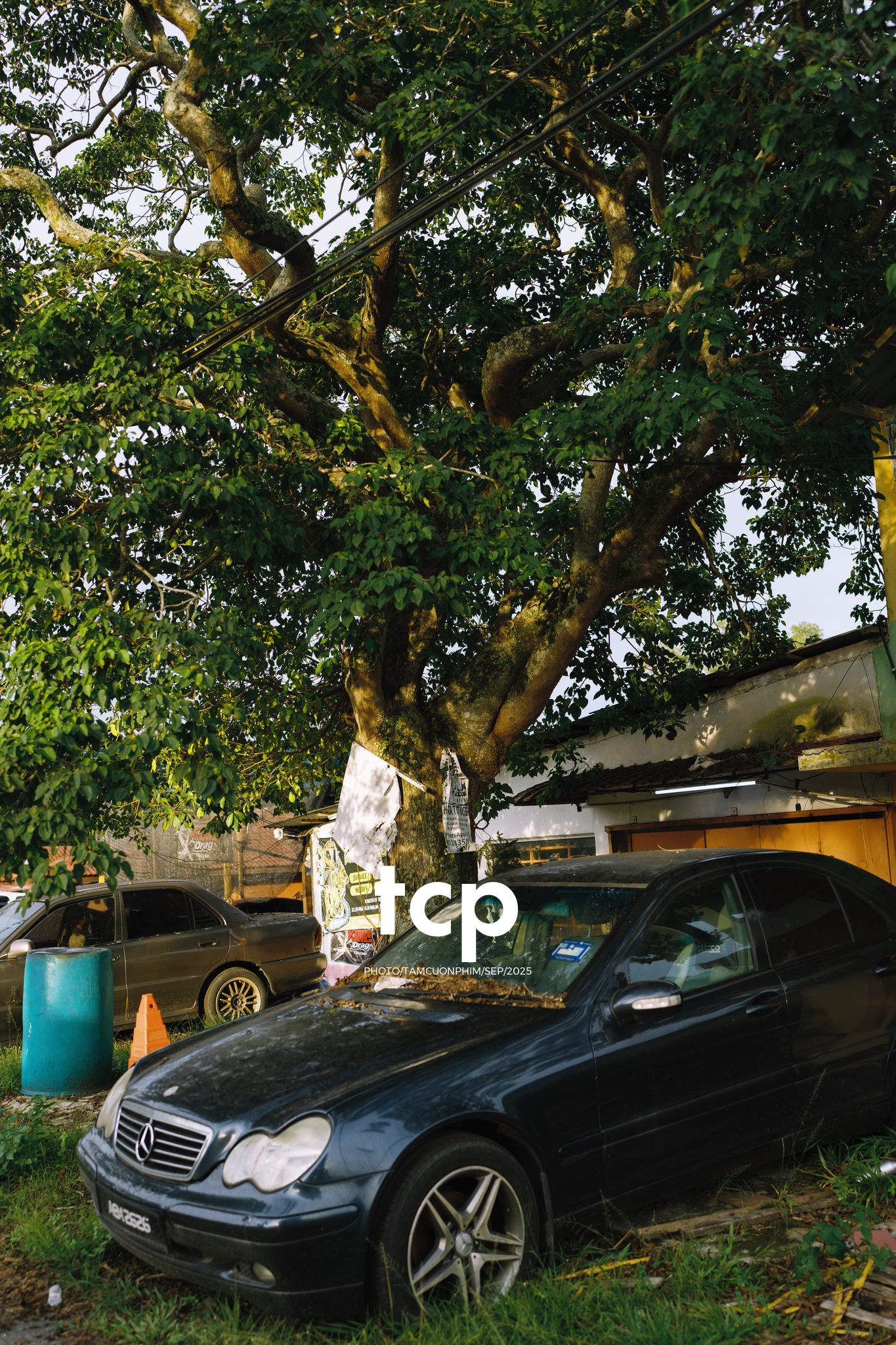 Tám Cuộn Phim - Chill hết nấc với chuyến đi dạo đầy nắng vàng