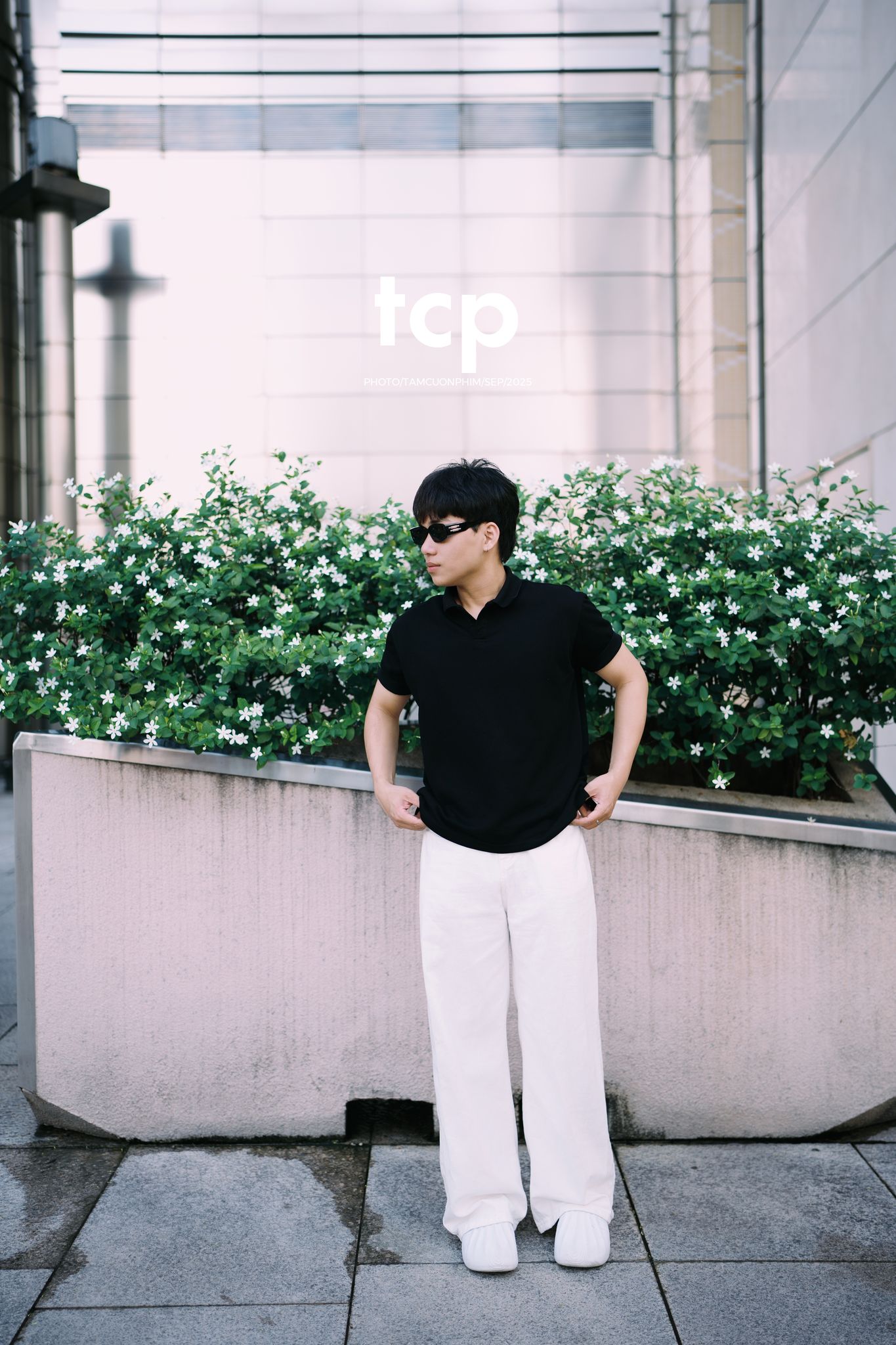 Tám Cuộn Phim - NHỊP ĐẬP ĐÔ THỊ DƯỚI TẦNG XANH