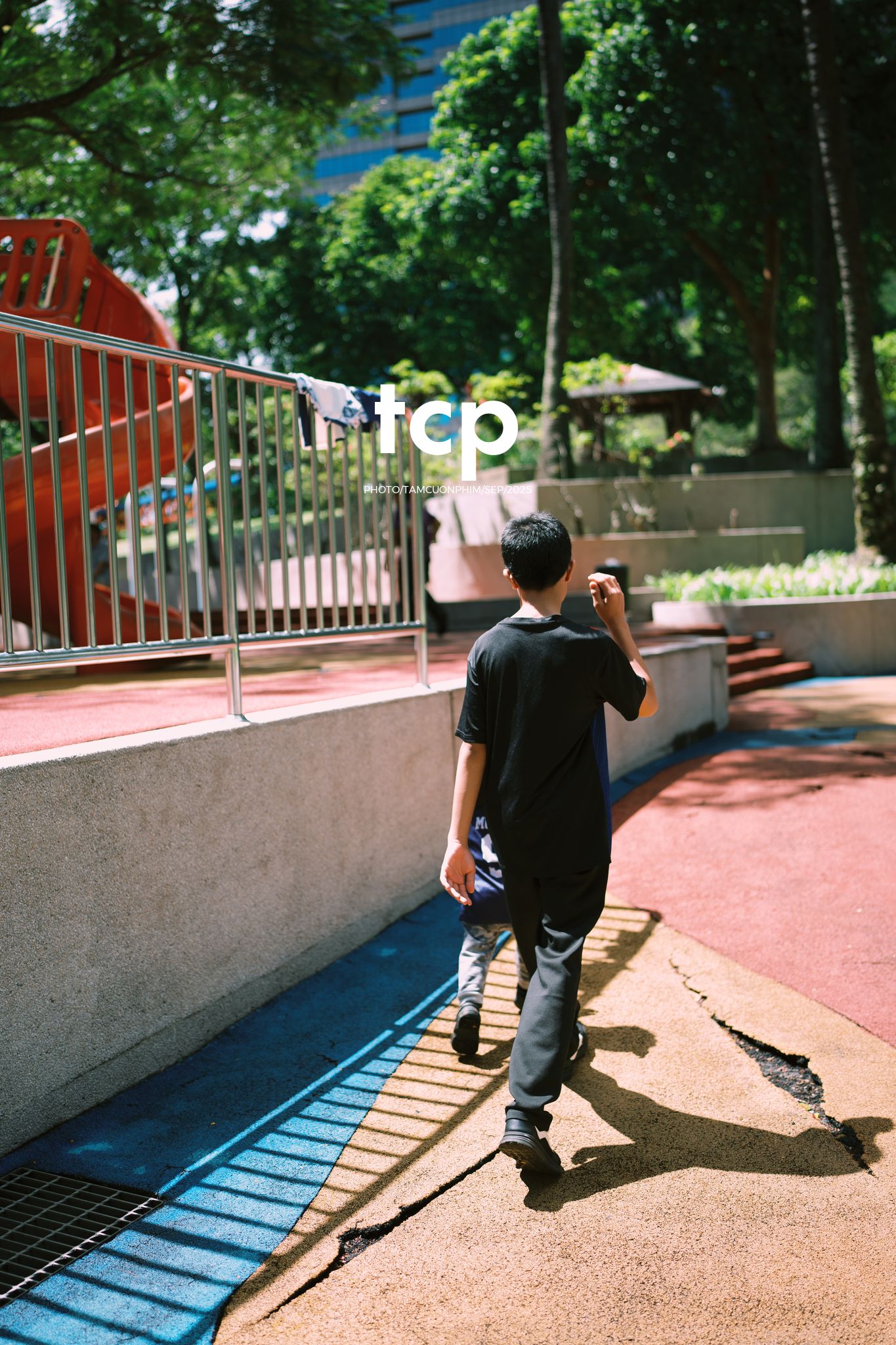 Tám Cuộn Phim - NHỊP ĐẬP ĐÔ THỊ DƯỚI TẦNG XANH