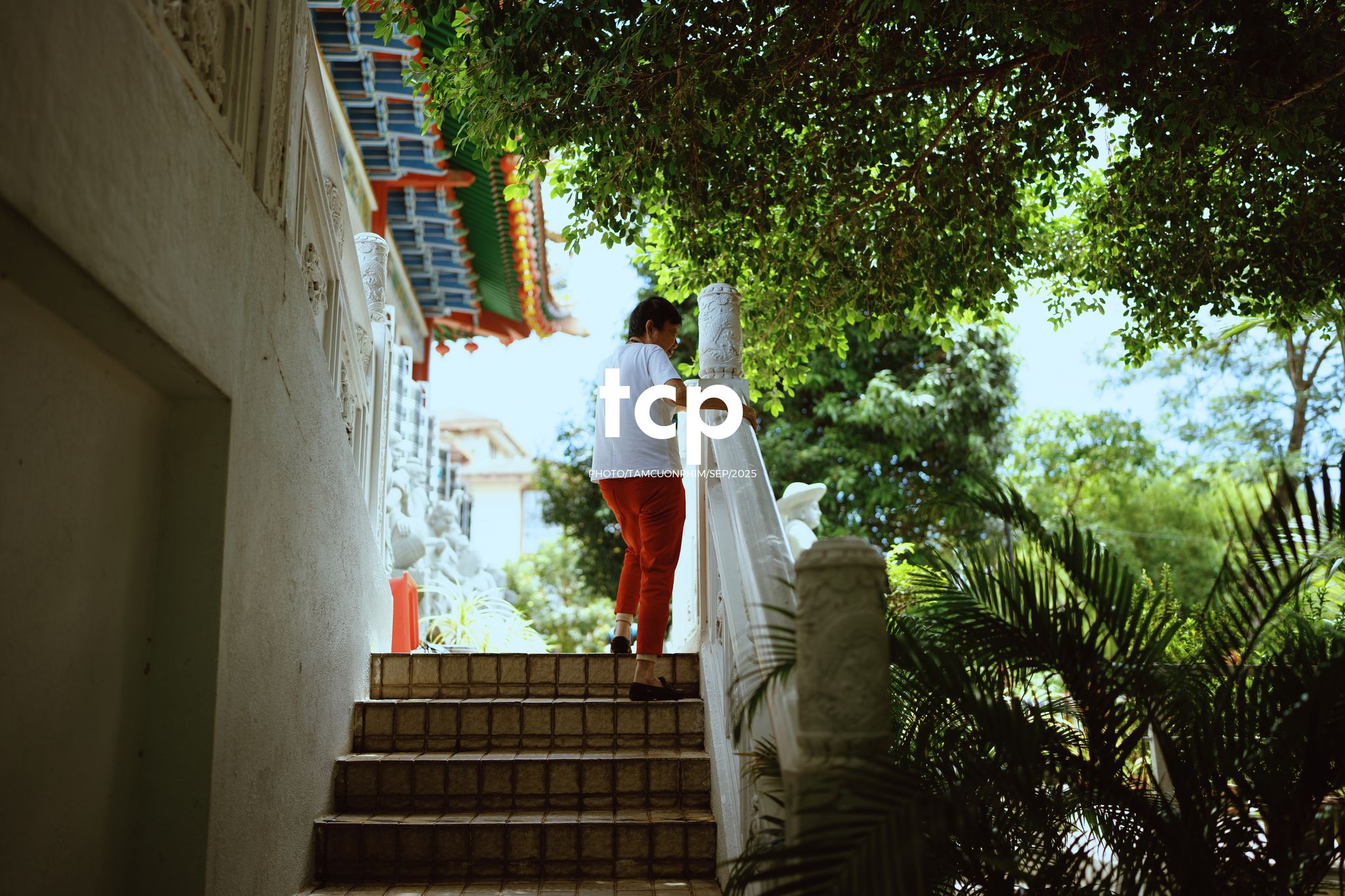 Tám Cuộn Phim - Sắc đỏ và hương trầm nơi cổ tự