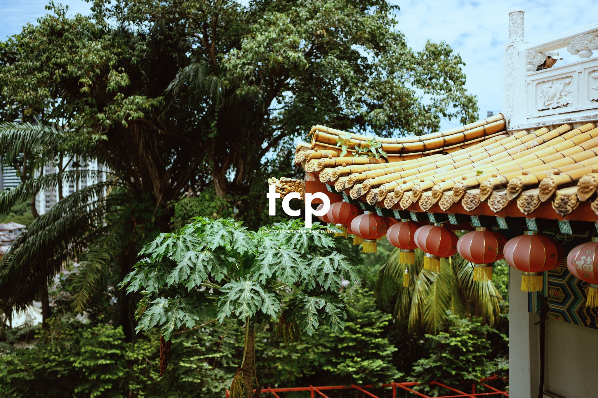 Tám Cuộn Phim - Sắc đỏ và hương trầm nơi cổ tự
