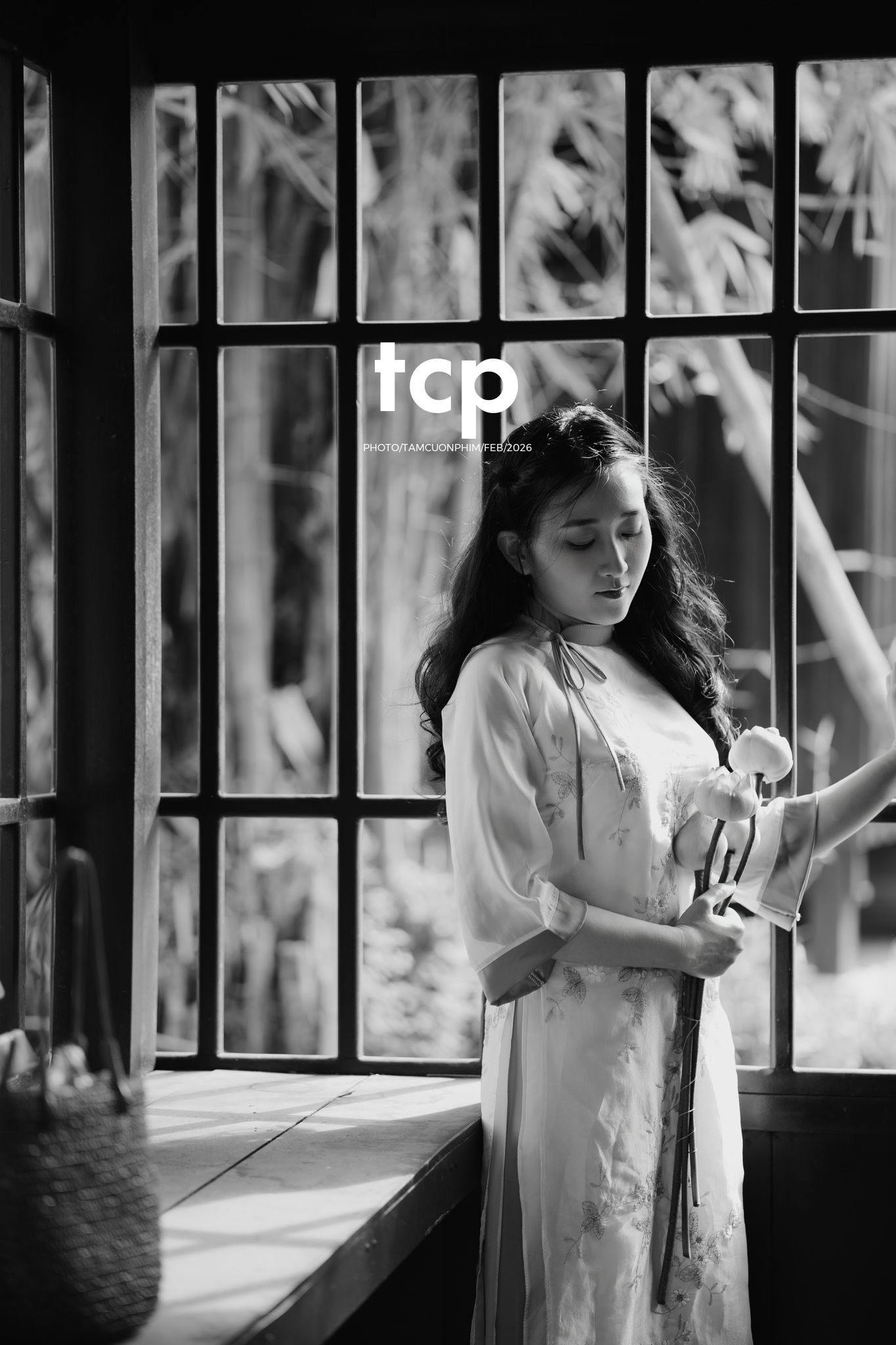 Tám Cuộn Phim - Tiếng cười giòn tan trên chiếc cầu gỗ cũ