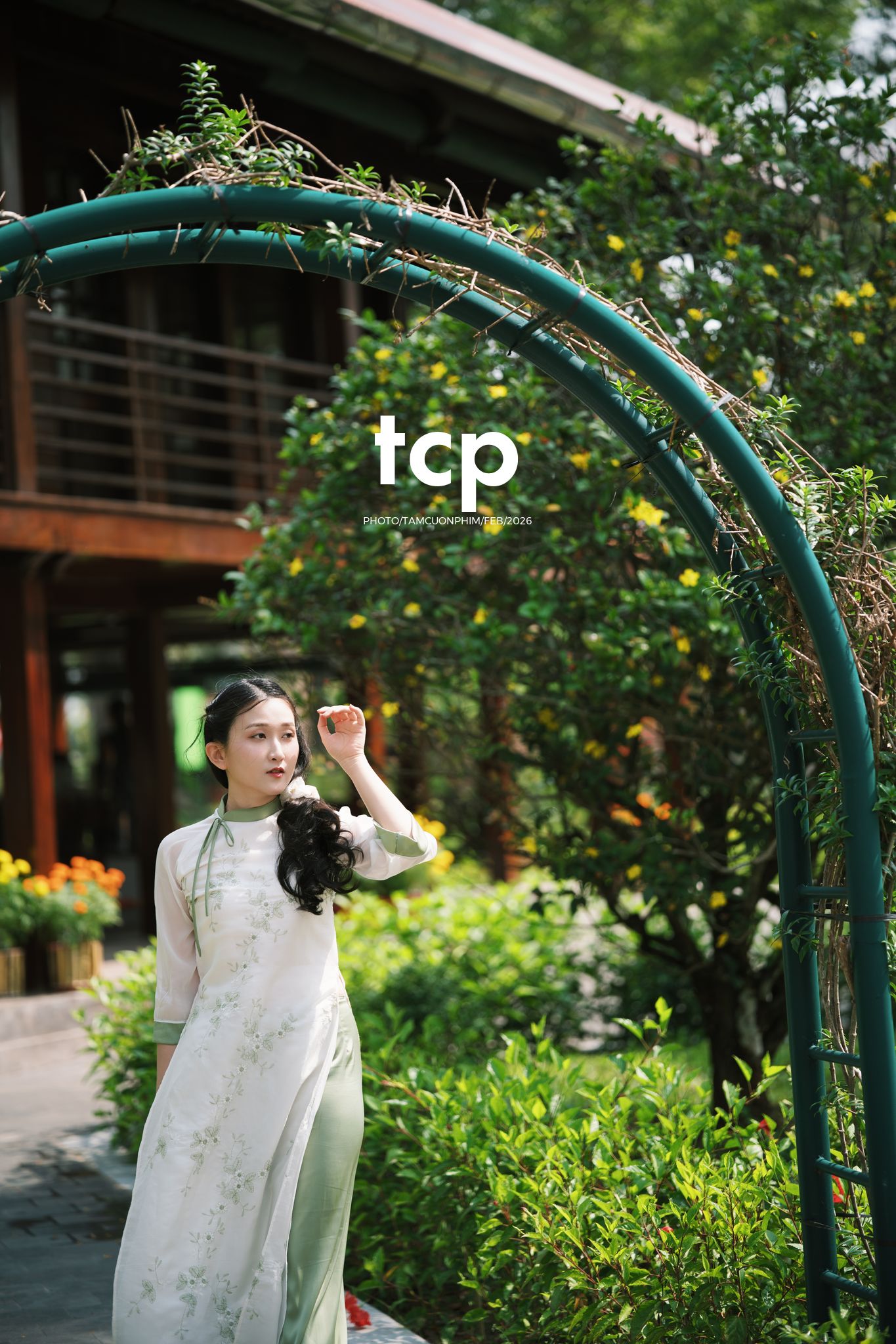 Tám Cuộn Phim - Tiếng cười giòn tan trên chiếc cầu gỗ cũ