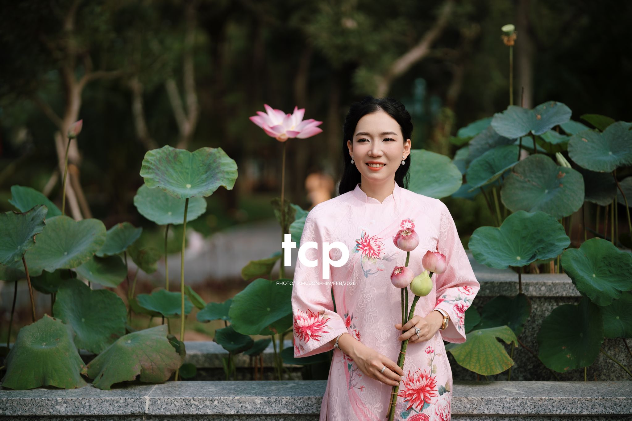 Tám Cuộn Phim - Tiếng cười giòn tan trên chiếc cầu gỗ cũ