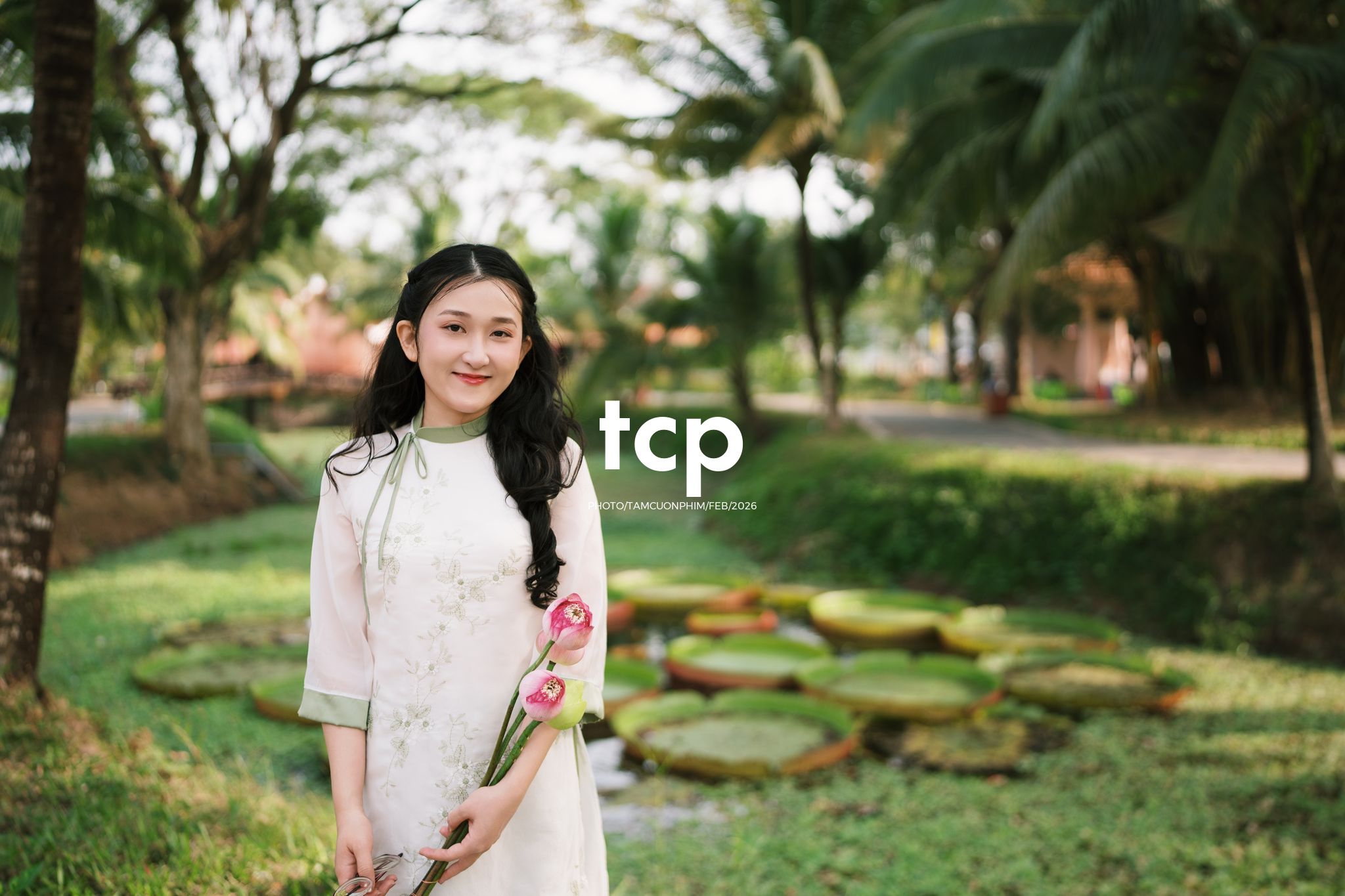 Tám Cuộn Phim - Tiếng cười giòn tan trên chiếc cầu gỗ cũ