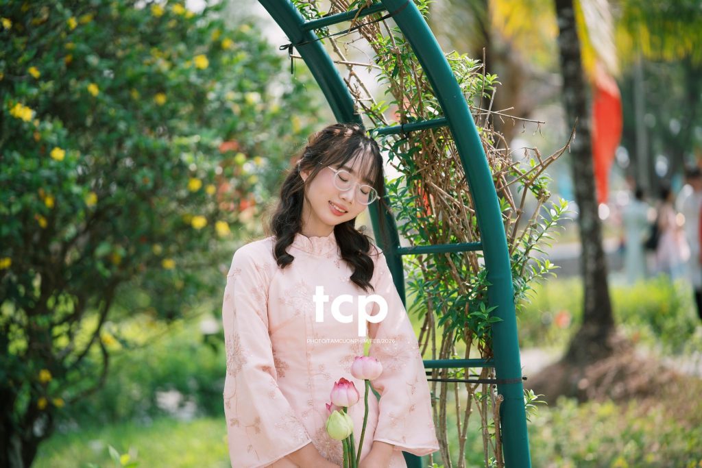 Tám Cuộn Phim - Tiếng cười giòn tan trên chiếc cầu gỗ cũ