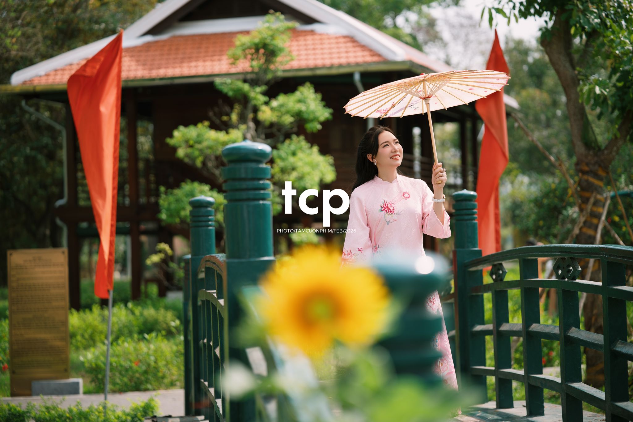 Tám Cuộn Phim - Tiếng cười giòn tan trên chiếc cầu gỗ cũ
