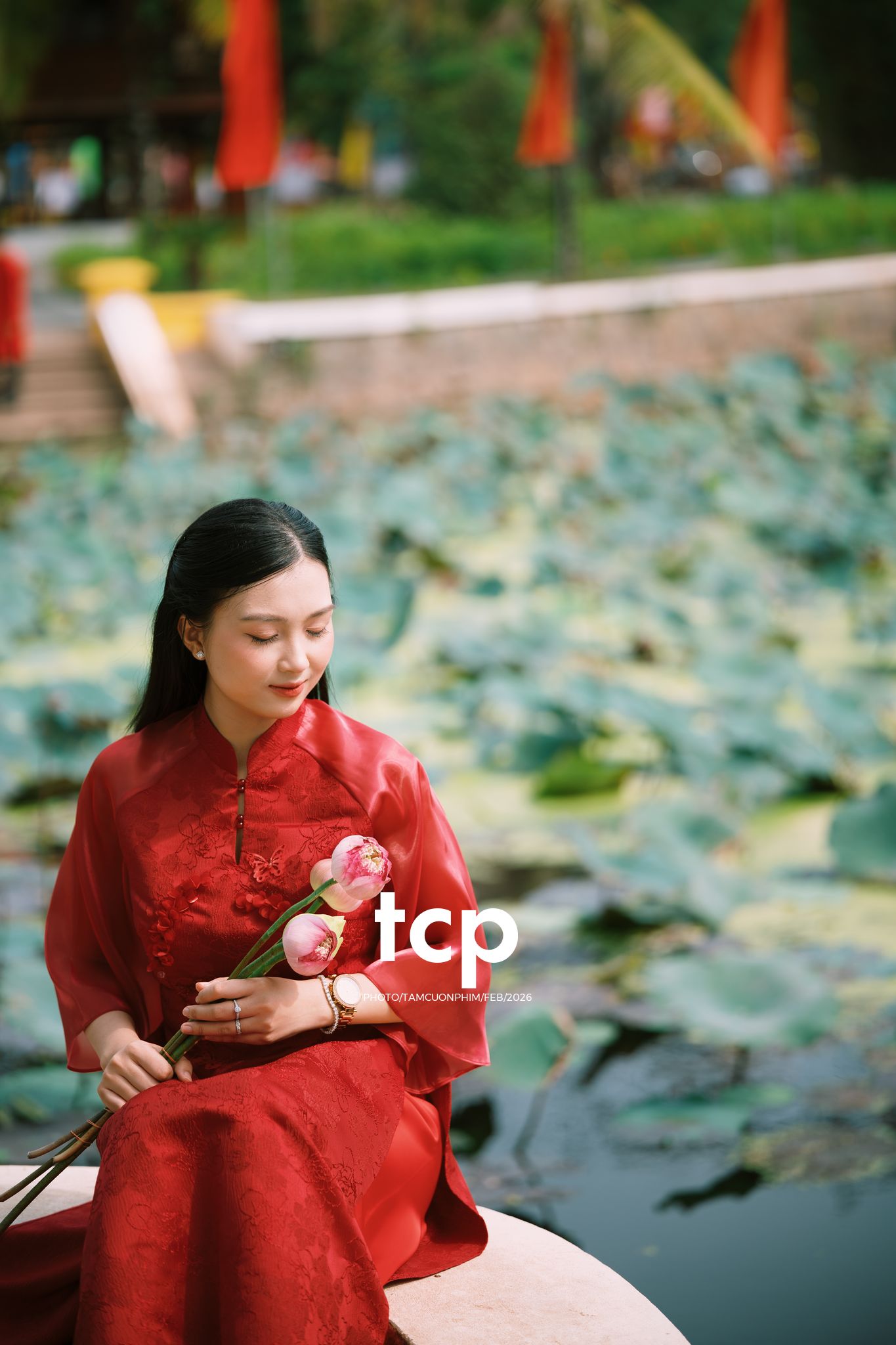 Tám Cuộn Phim - Tiếng cười giòn tan trên chiếc cầu gỗ cũ