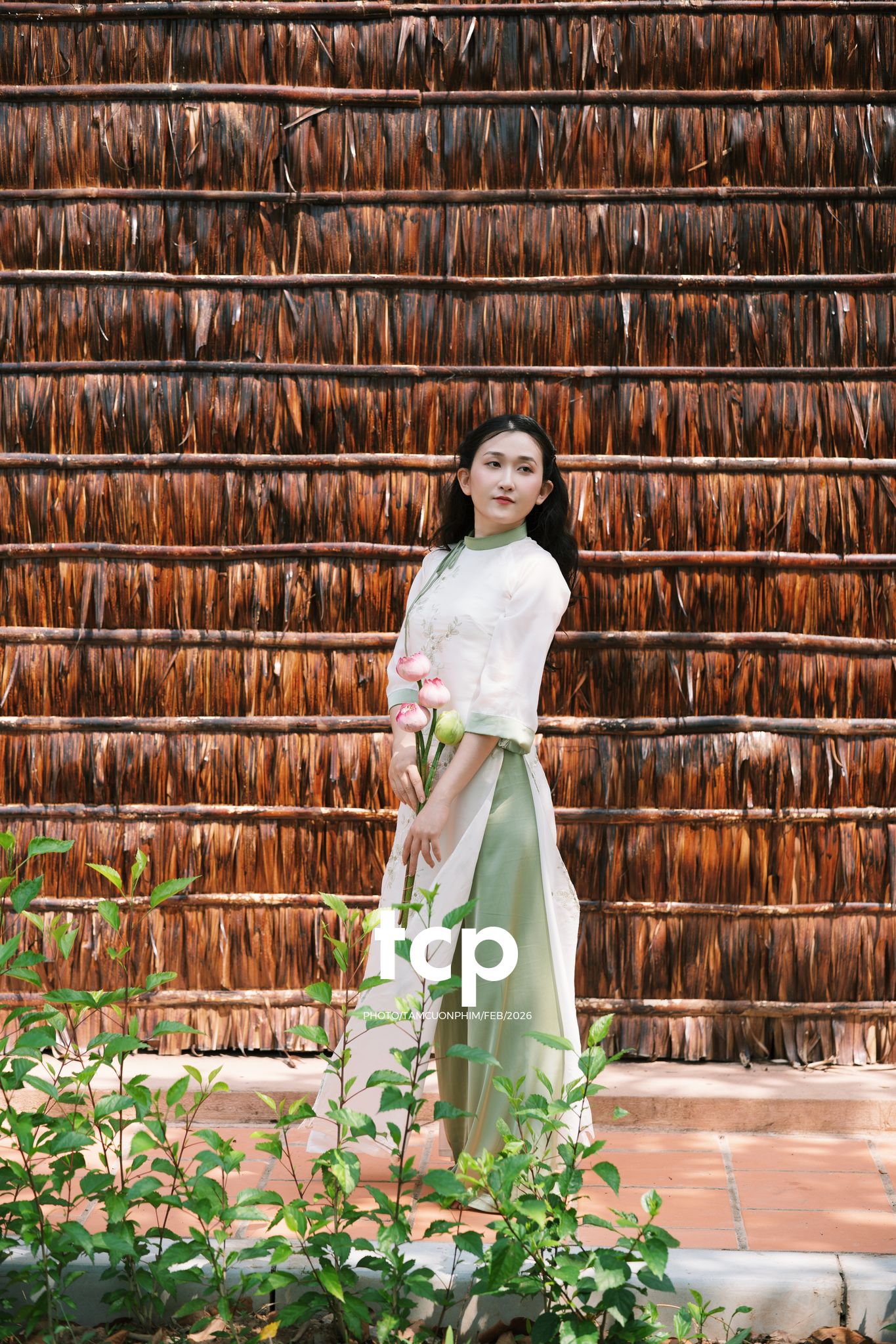 Tám Cuộn Phim - Tiếng cười giòn tan trên chiếc cầu gỗ cũ