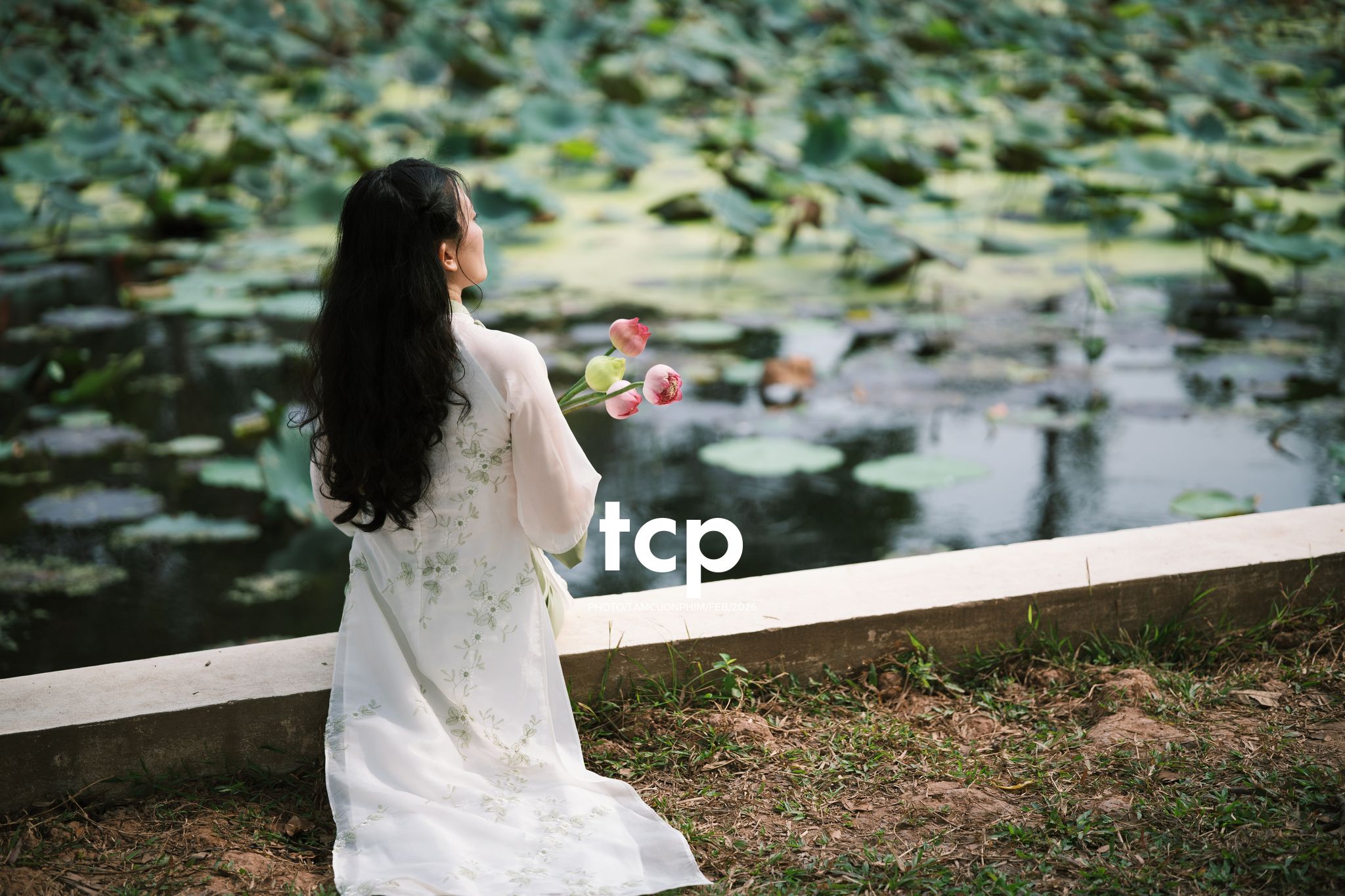 Tám Cuộn Phim - Tiếng cười giòn tan trên chiếc cầu gỗ cũ