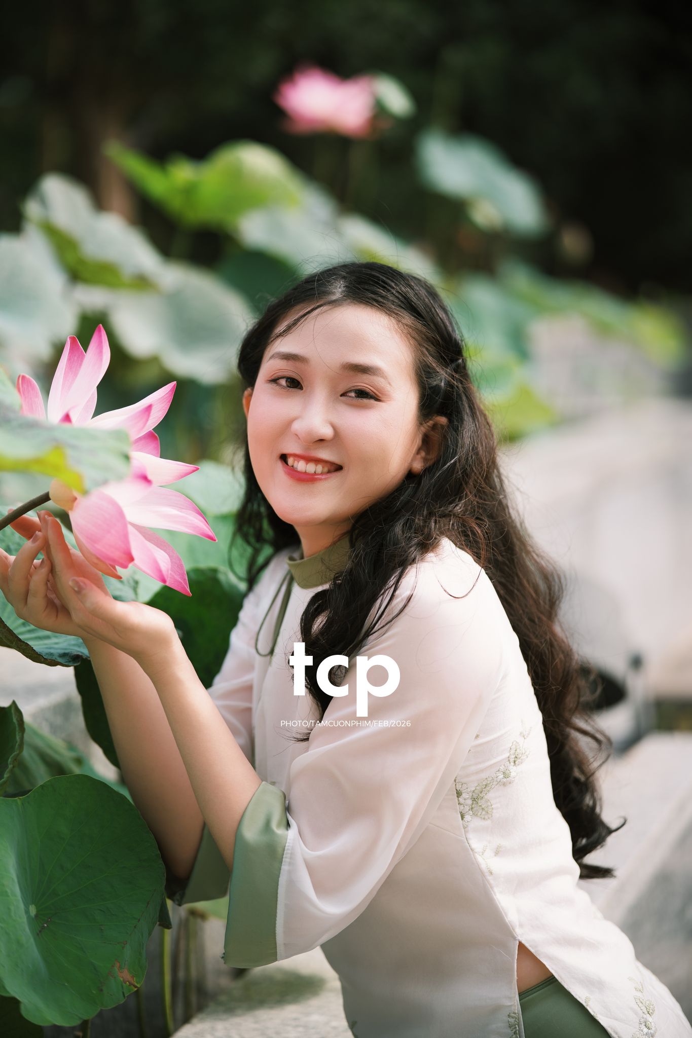 Tám Cuộn Phim - Tiếng cười giòn tan trên chiếc cầu gỗ cũ