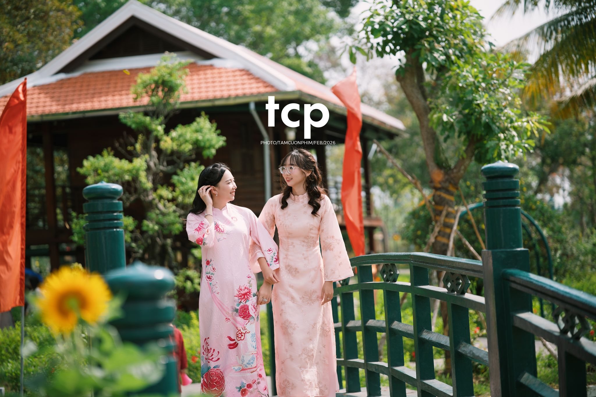 Tám Cuộn Phim - Tiếng cười giòn tan trên chiếc cầu gỗ cũ