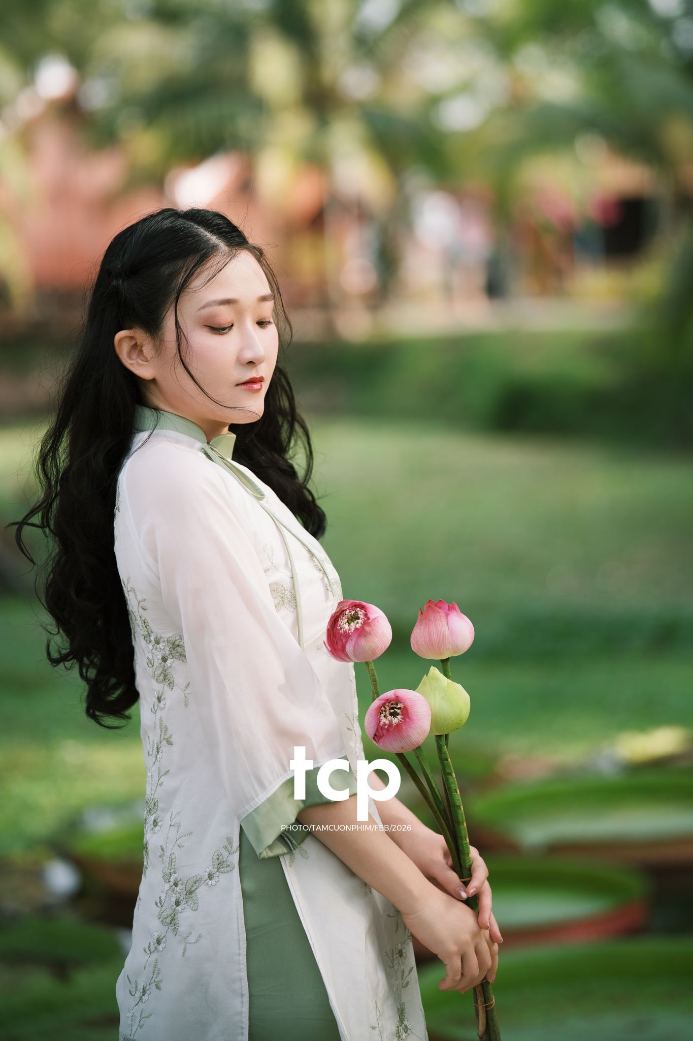 Tám Cuộn Phim - Tiếng cười giòn tan trên chiếc cầu gỗ cũ
