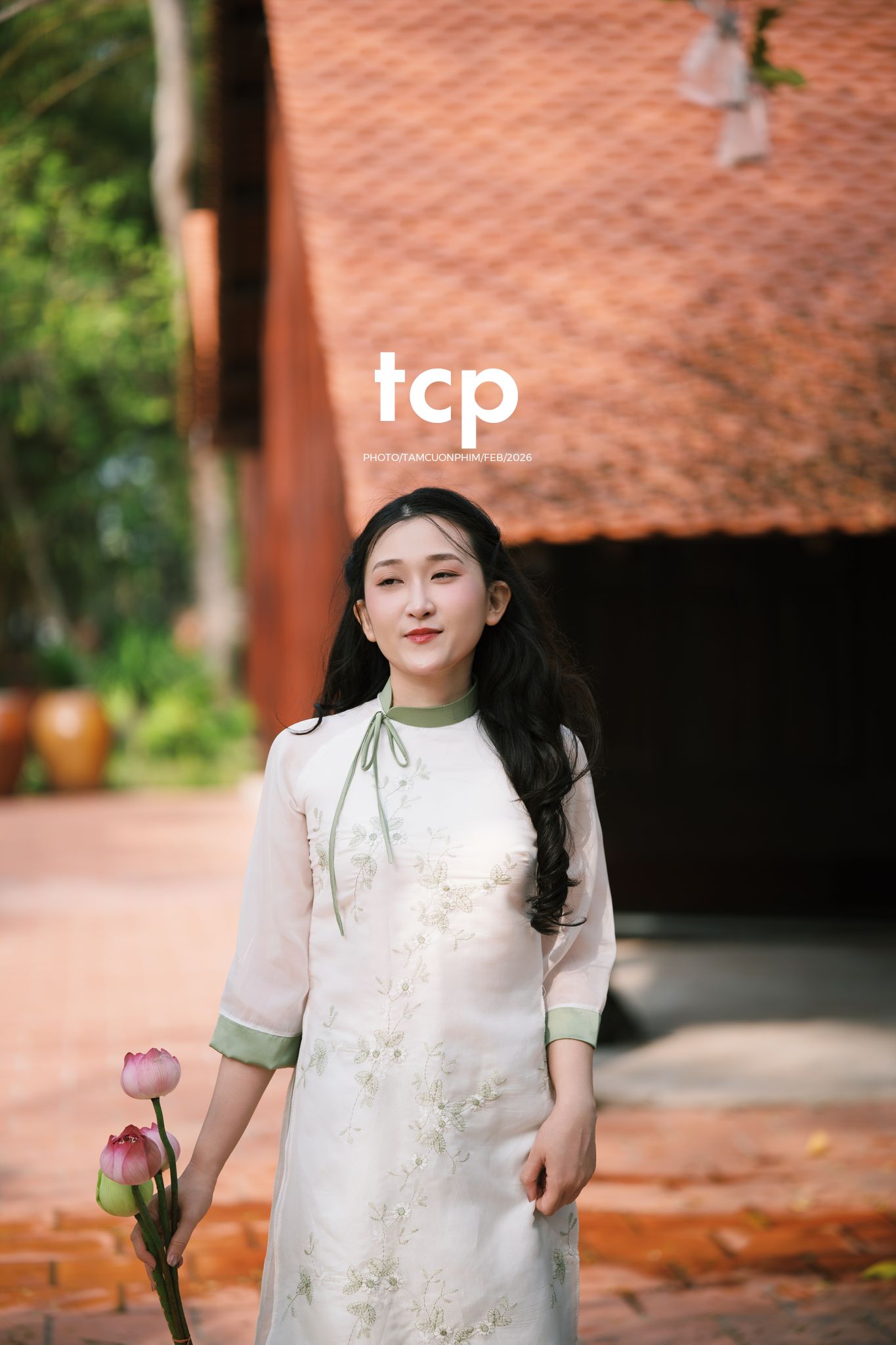Tám Cuộn Phim - Tiếng cười giòn tan trên chiếc cầu gỗ cũ