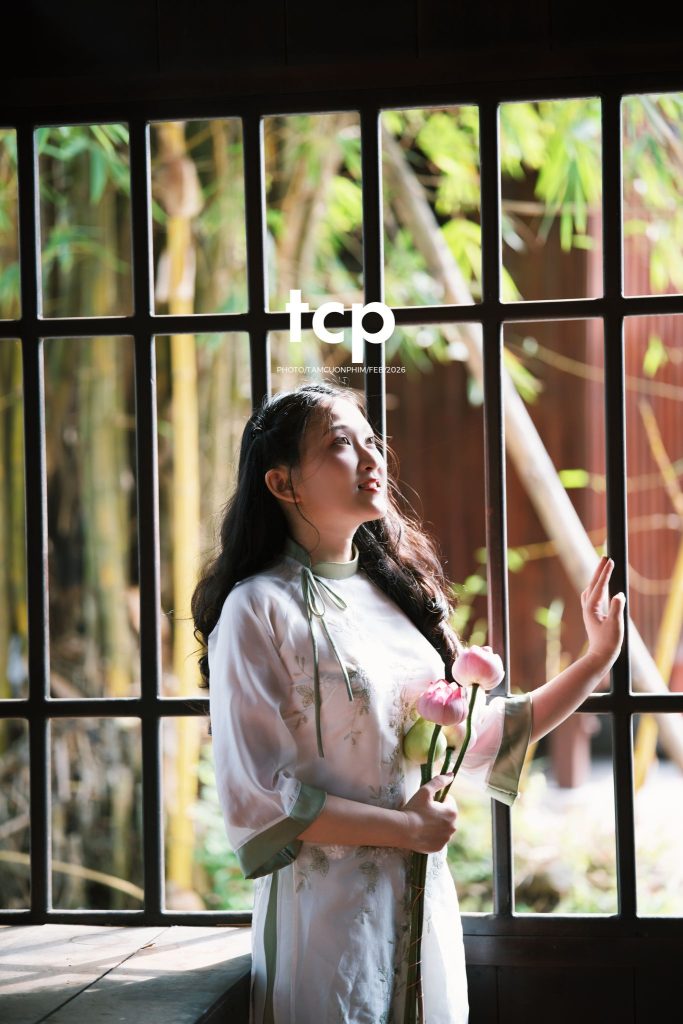 Tám Cuộn Phim - Tiếng cười giòn tan trên chiếc cầu gỗ cũ