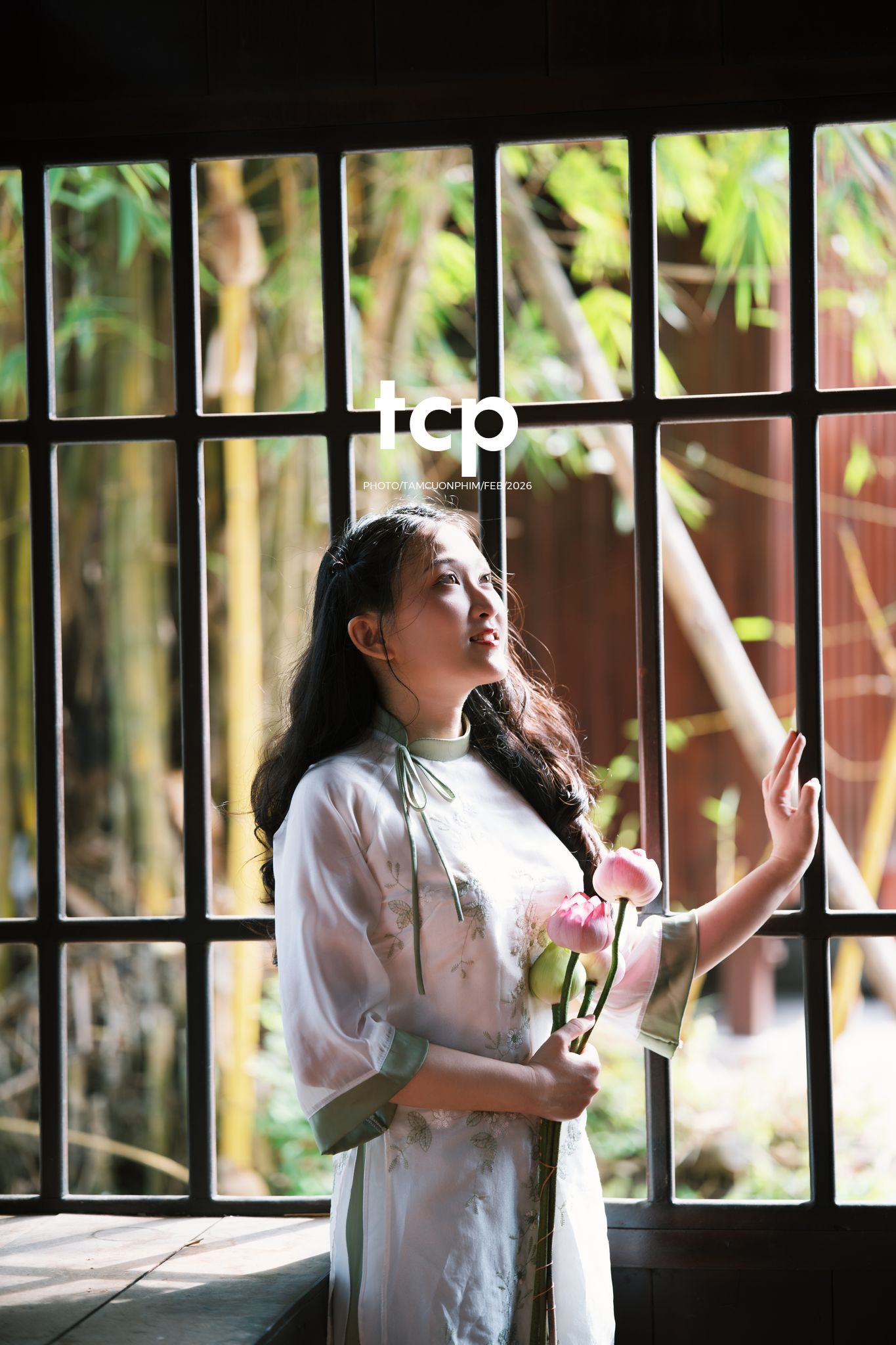 Tám Cuộn Phim - Tiếng cười giòn tan trên chiếc cầu gỗ cũ