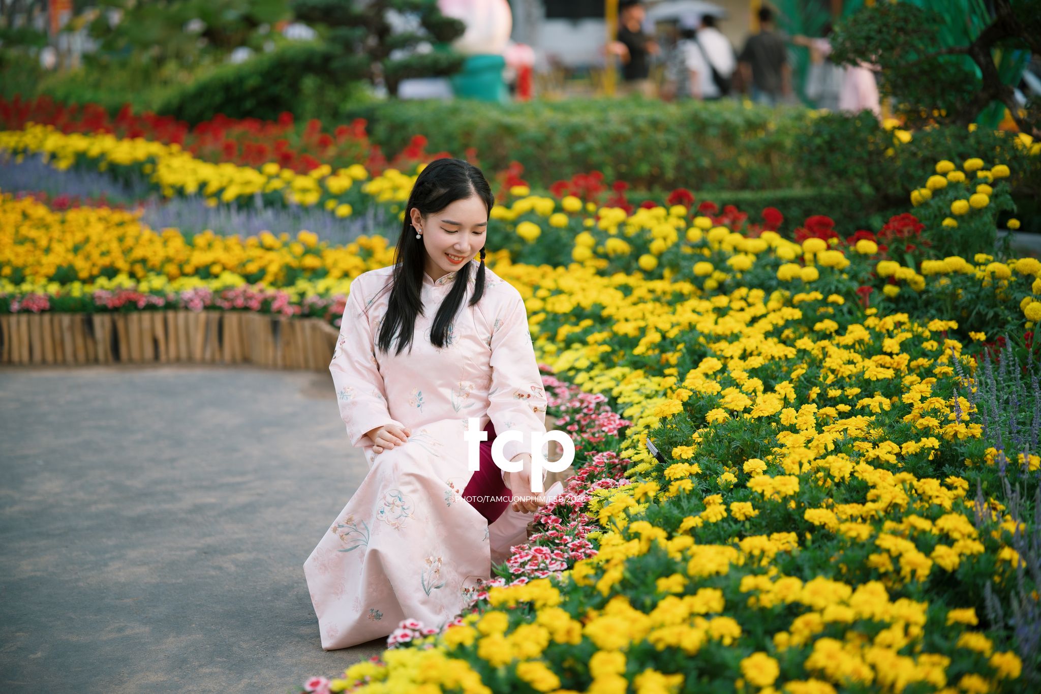 Tám Cuộn Phim - Chiếc nón lá tung bay giữa vườn hoa rực rỡ