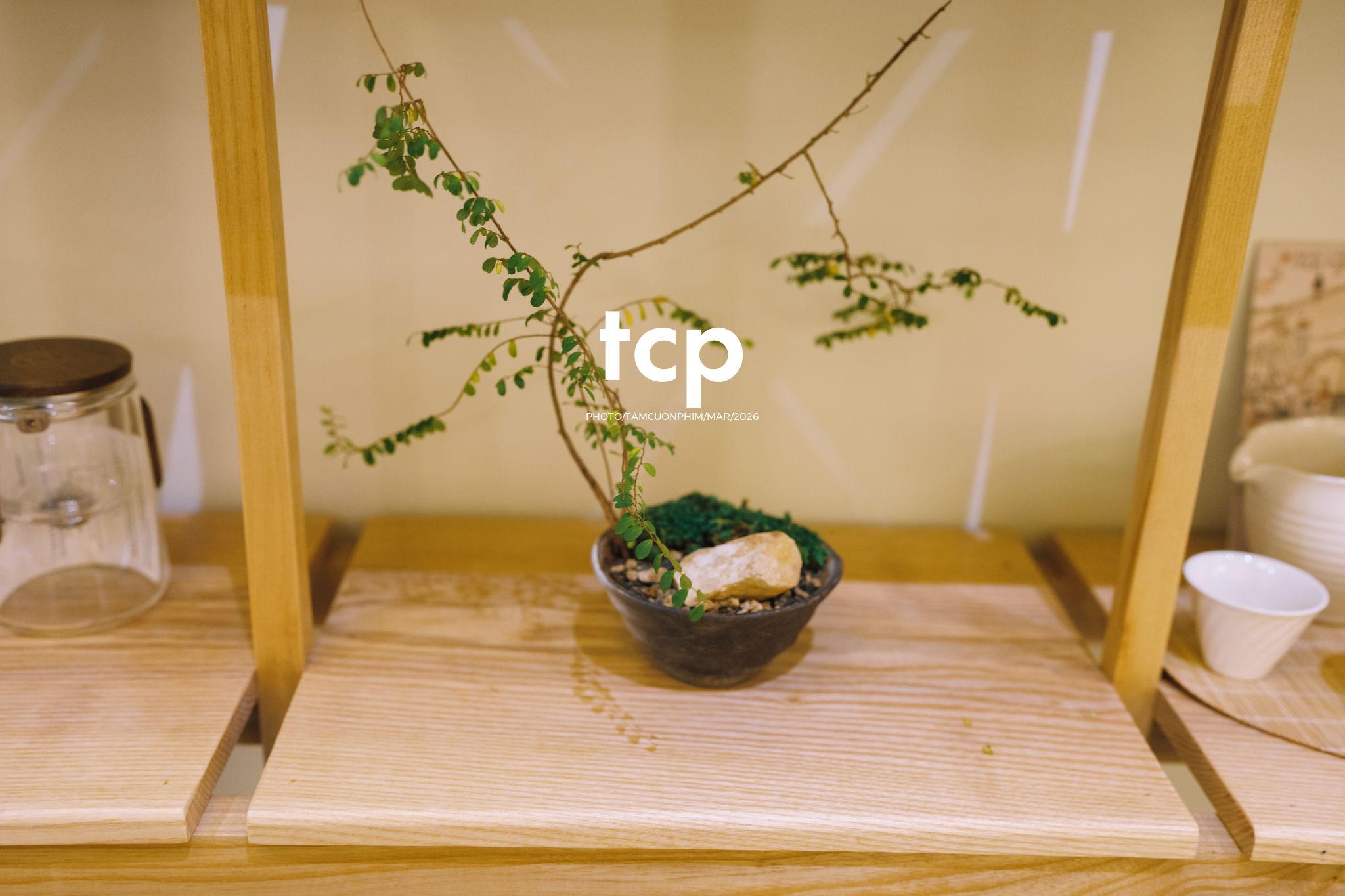 Tám Cuộn Phim - Những khoảnh khắc kết nối đầy yêu thương