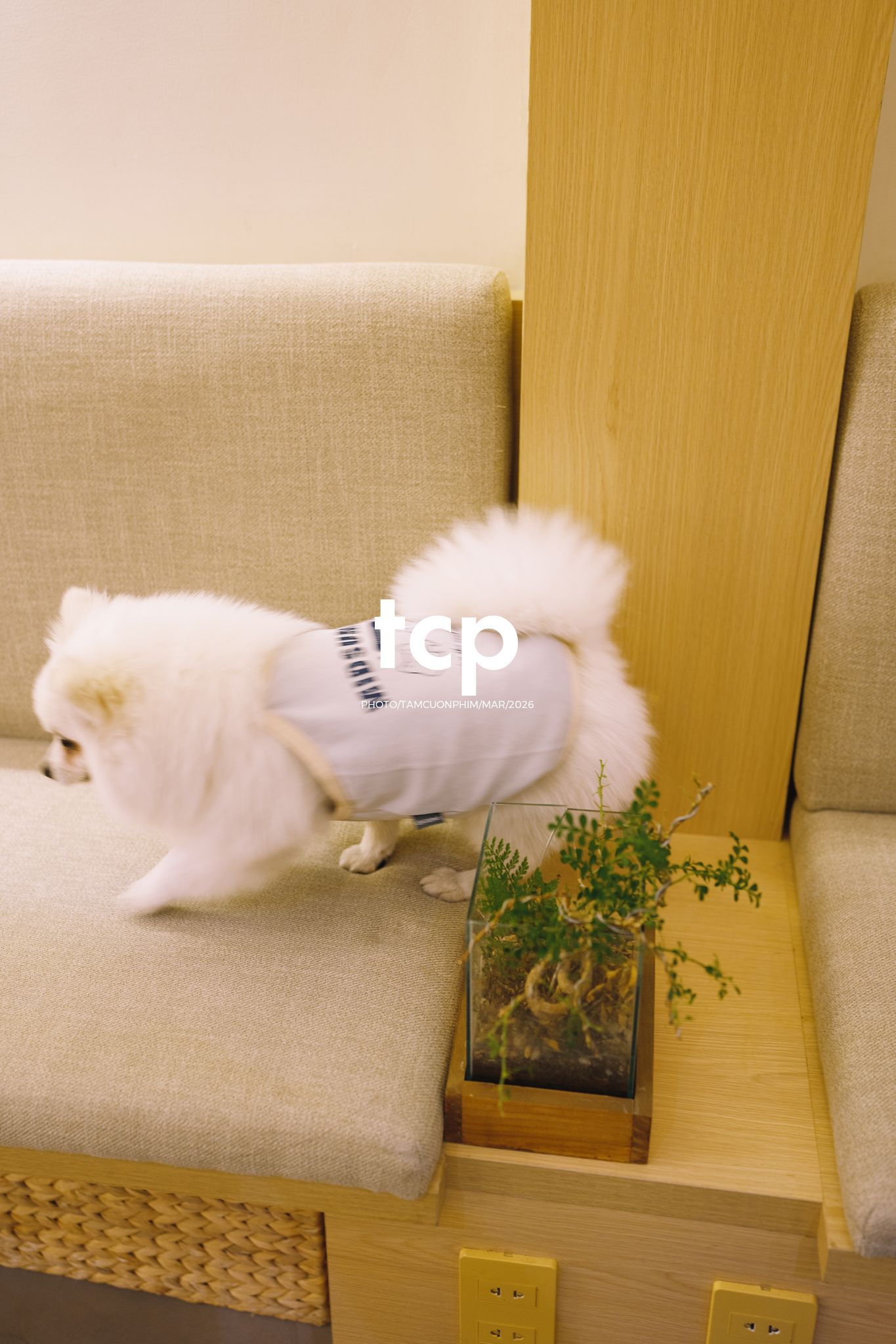 Tám Cuộn Phim - Những khoảnh khắc kết nối đầy yêu thương