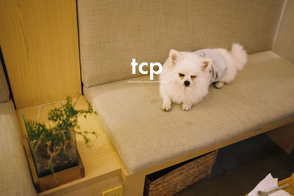 Tám Cuộn Phim - Những khoảnh khắc kết nối đầy yêu thương