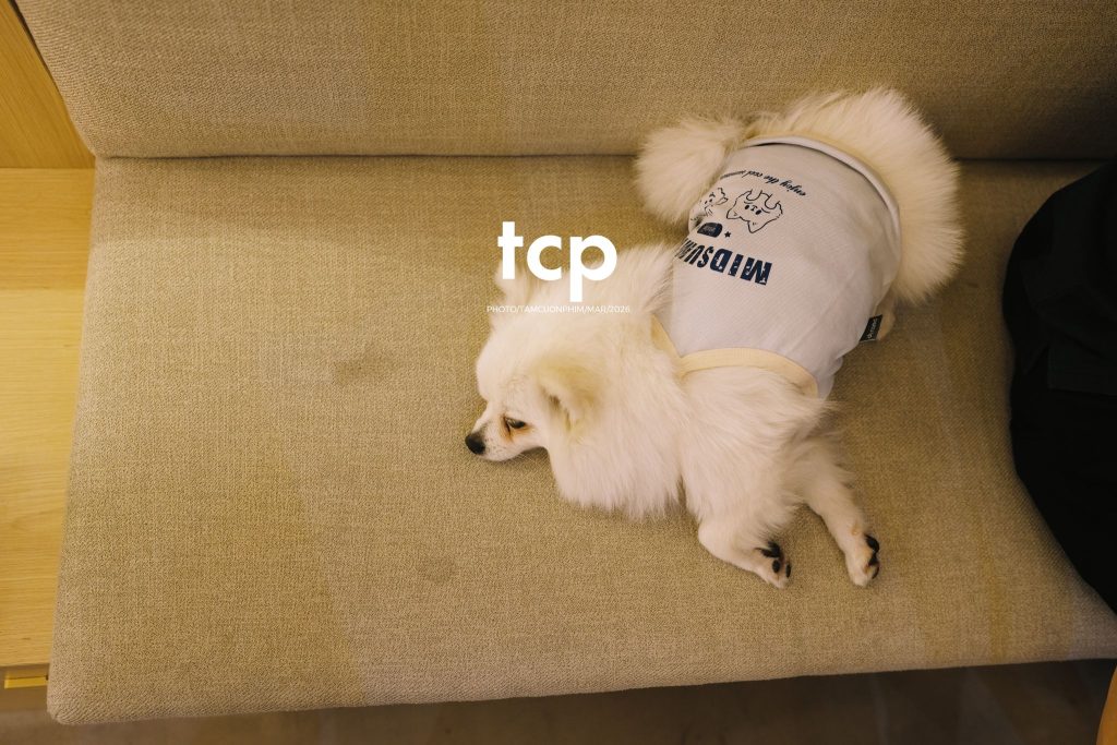 Tám Cuộn Phim - Những khoảnh khắc kết nối đầy yêu thương