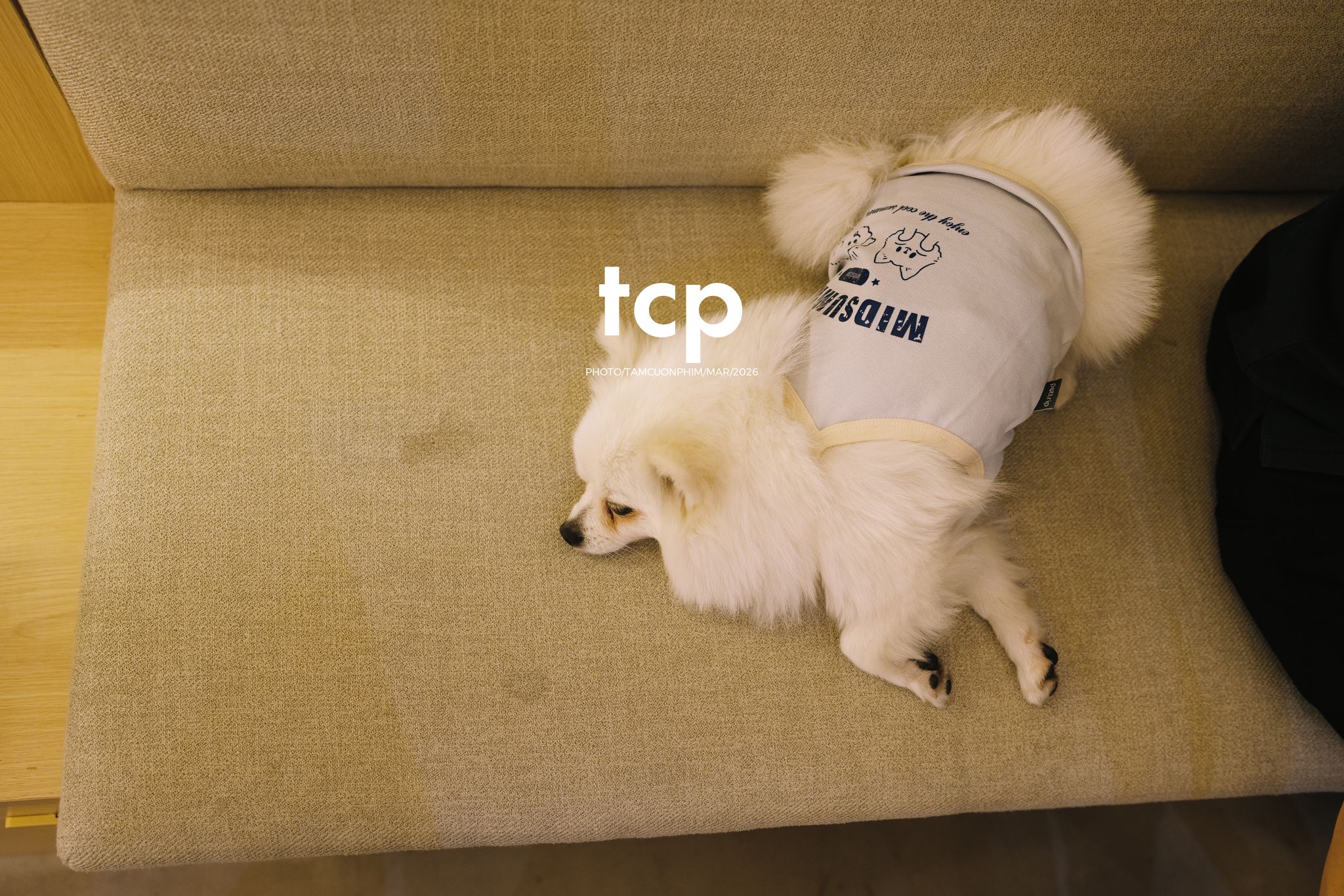 Tám Cuộn Phim - Những khoảnh khắc kết nối đầy yêu thương