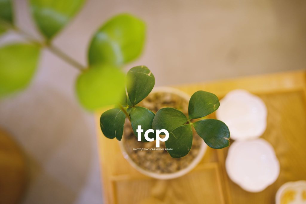 Tám Cuộn Phim - Những khoảnh khắc kết nối đầy yêu thương