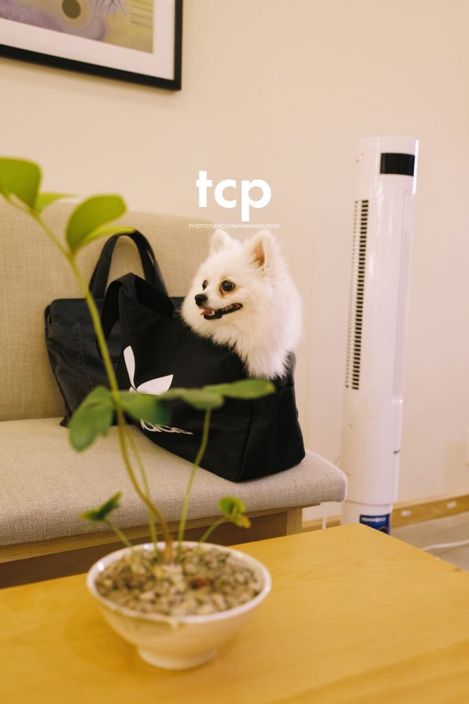 Tám Cuộn Phim - Những khoảnh khắc kết nối đầy yêu thương