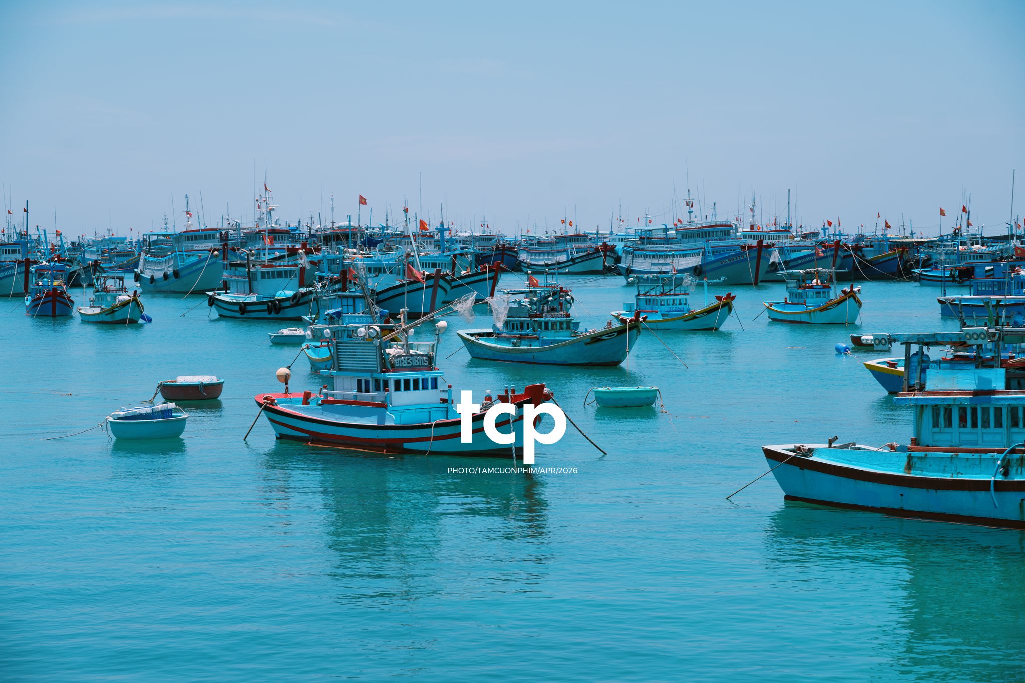 Tám Cuộn Phim - Chỉ còn năm phút nữa để kịp chuyến tàu cuối ra bãi đá đen