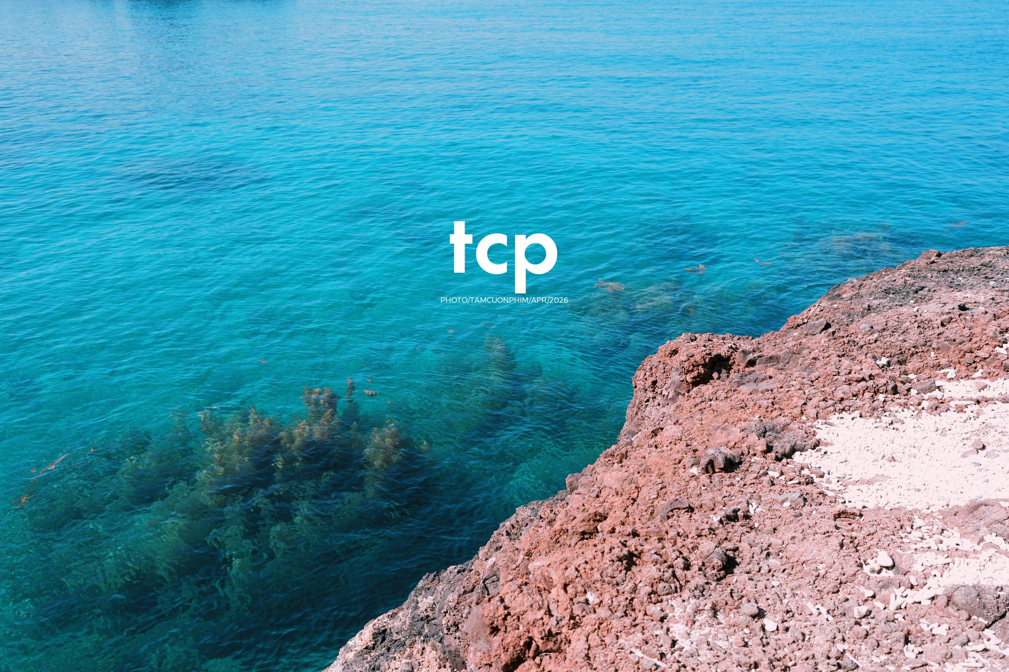 Tám Cuộn Phim - Chỉ còn năm phút nữa để kịp chuyến tàu cuối ra bãi đá đen