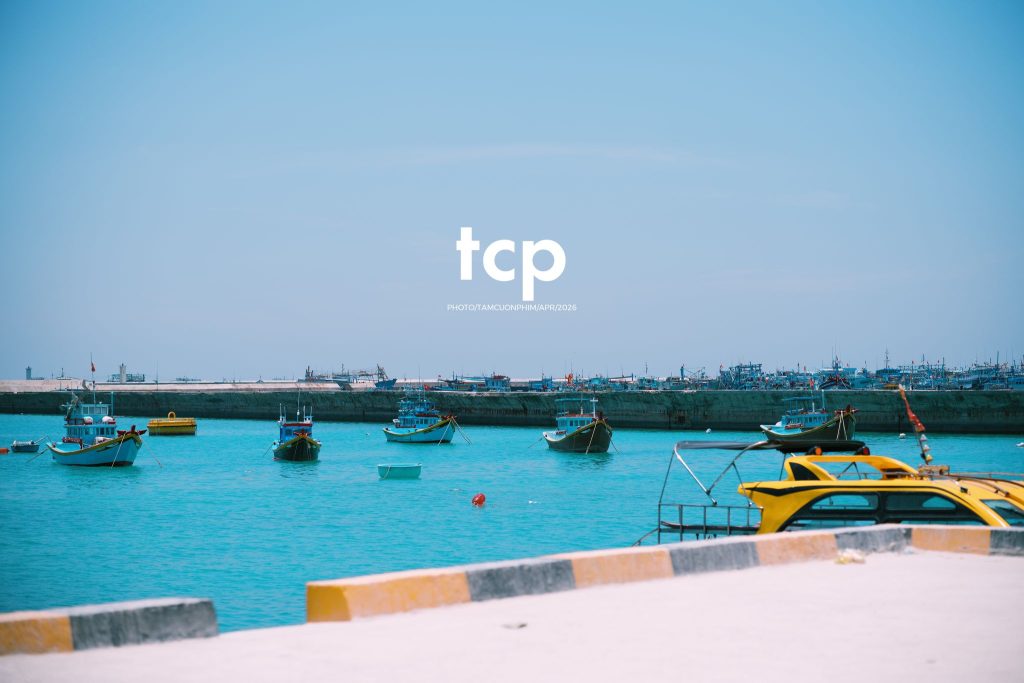 Tám Cuộn Phim - Chỉ còn năm phút nữa để kịp chuyến tàu cuối ra bãi đá đen