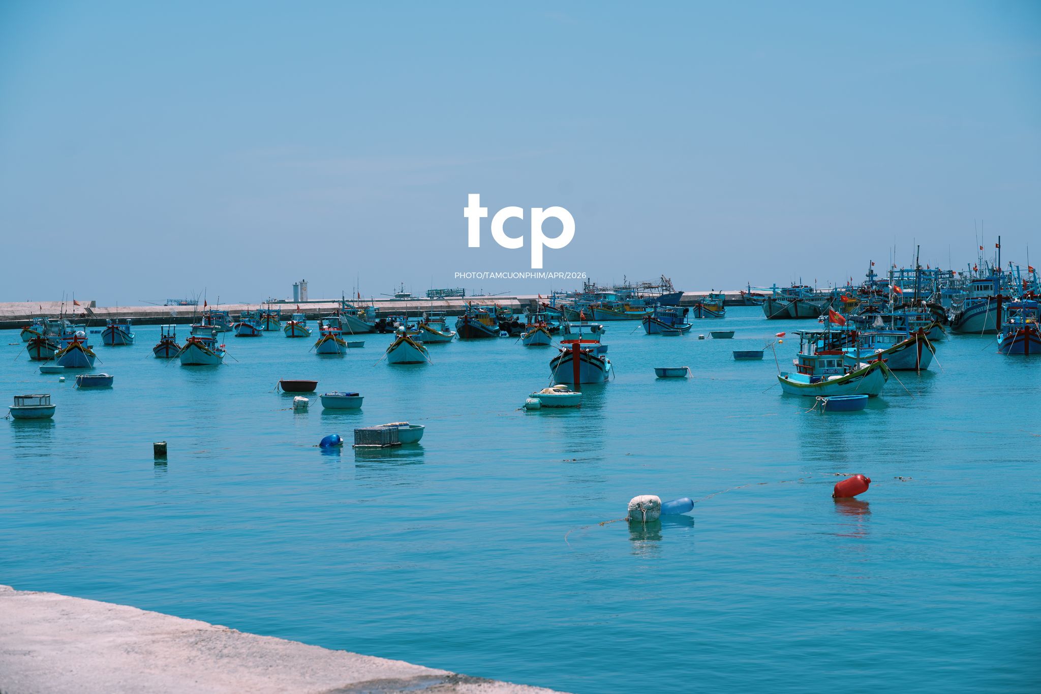 Tám Cuộn Phim - Chỉ còn năm phút nữa để kịp chuyến tàu cuối ra bãi đá đen