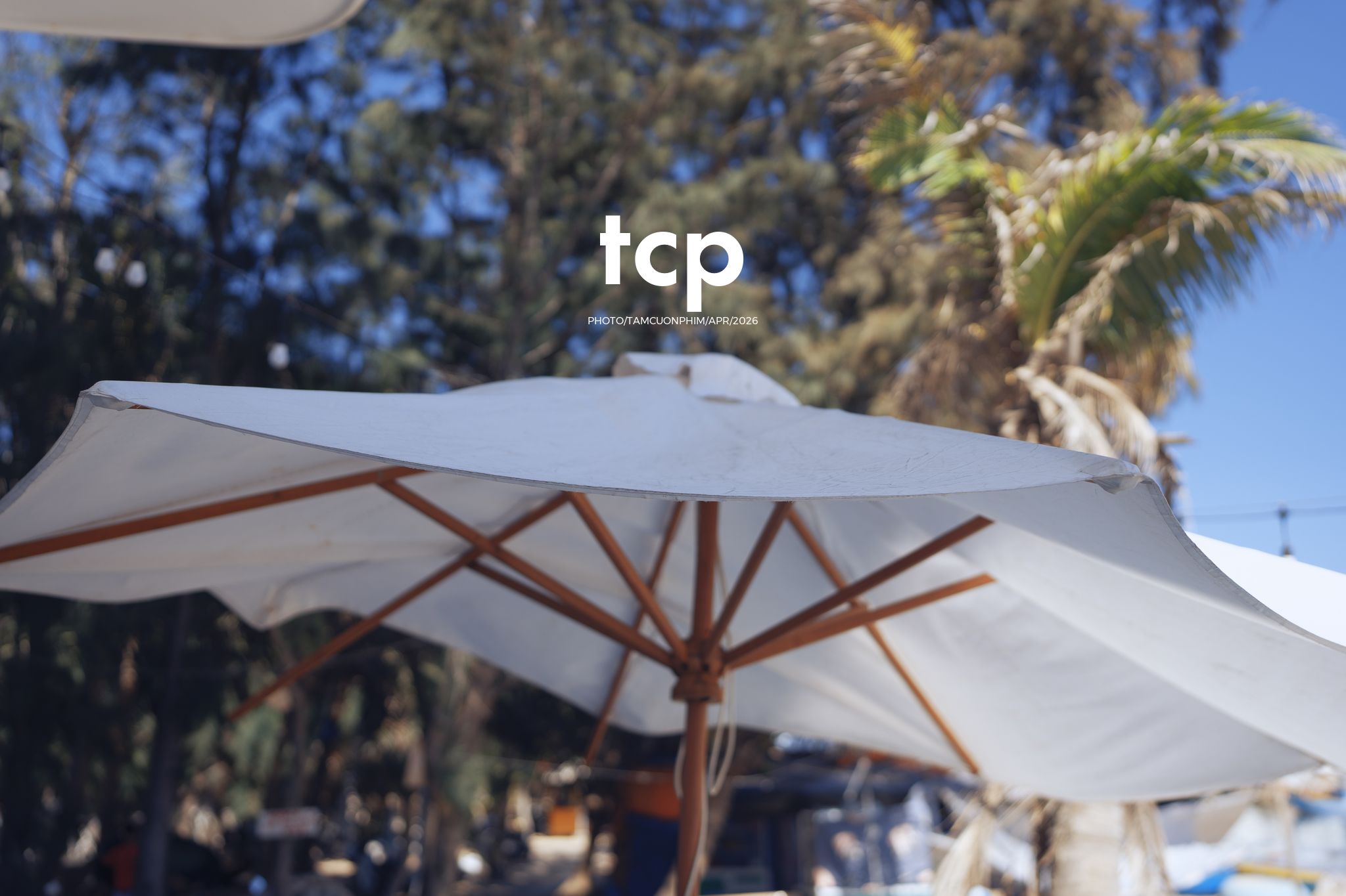 Tám Cuộn Phim - Nắng Gió Giữa Miền Viễn Hải