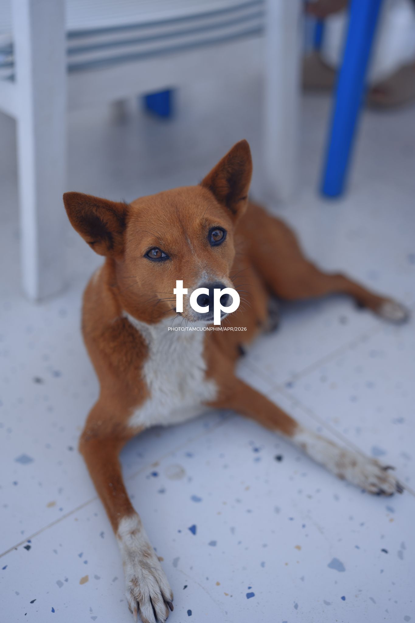 Tám Cuộn Phim - Nắng Gió Giữa Miền Viễn Hải