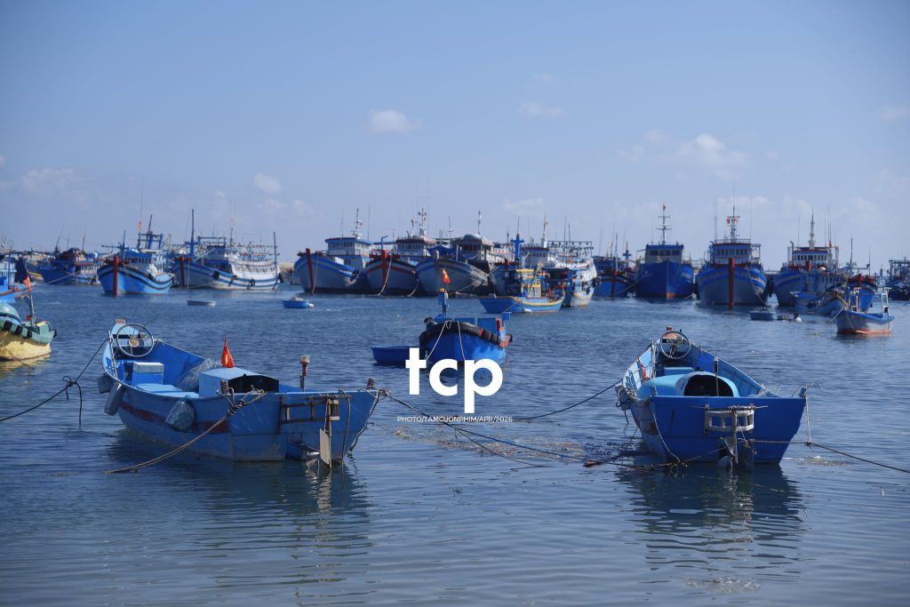 Tám Cuộn Phim - Nắng Gió Giữa Miền Viễn Hải