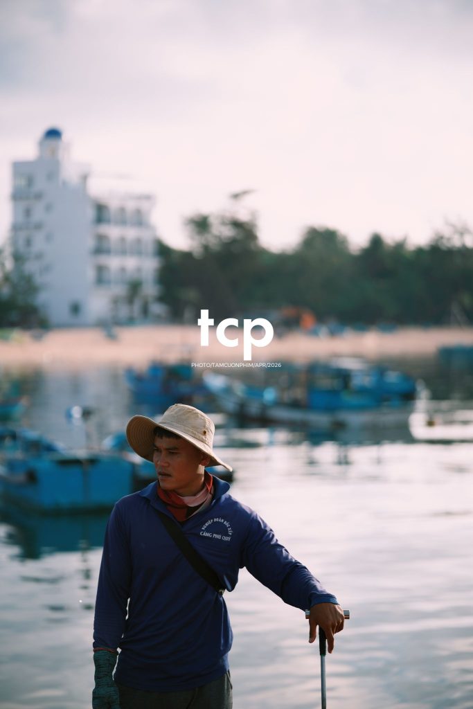 Tám Cuộn Phim - "Cân nhanh kẻo nắng lên, mẻ mực này tươi rói!"
