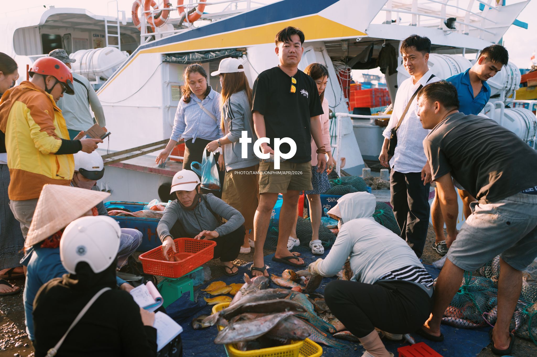 Tám Cuộn Phim - "Cân nhanh kẻo nắng lên, mẻ mực này tươi rói!"