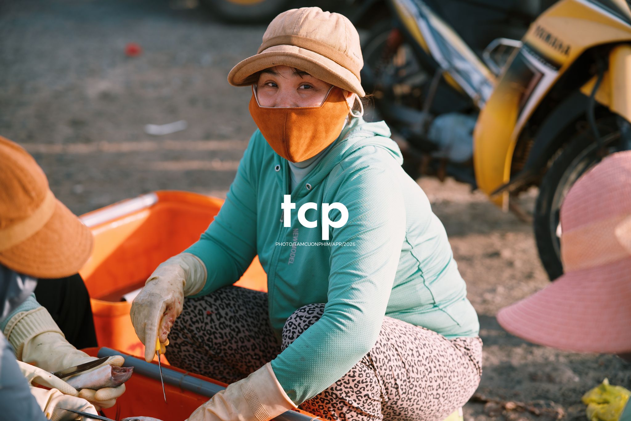 Tám Cuộn Phim - "Cân nhanh kẻo nắng lên, mẻ mực này tươi rói!"