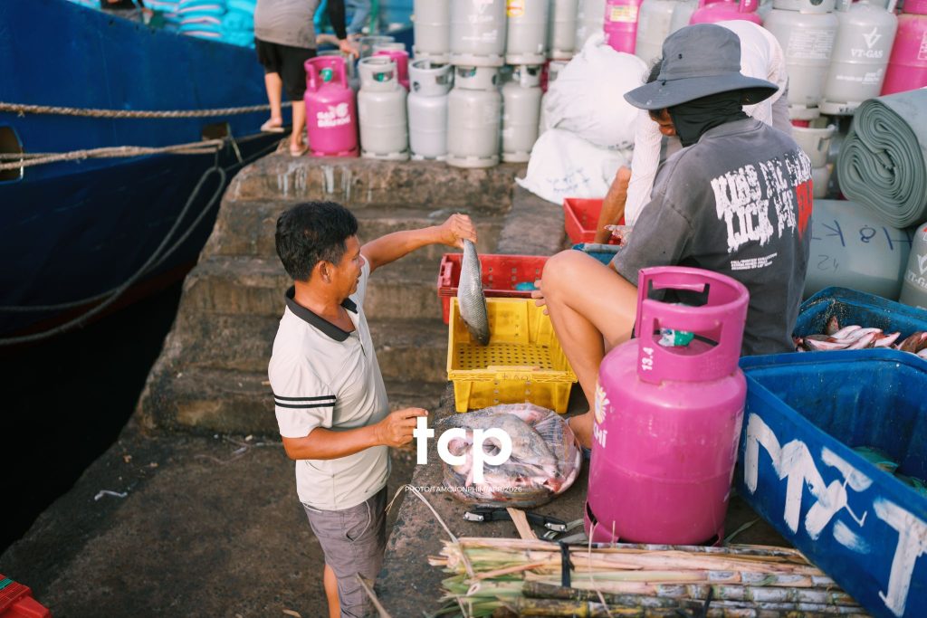 Tám Cuộn Phim - "Cân nhanh kẻo nắng lên, mẻ mực này tươi rói!"