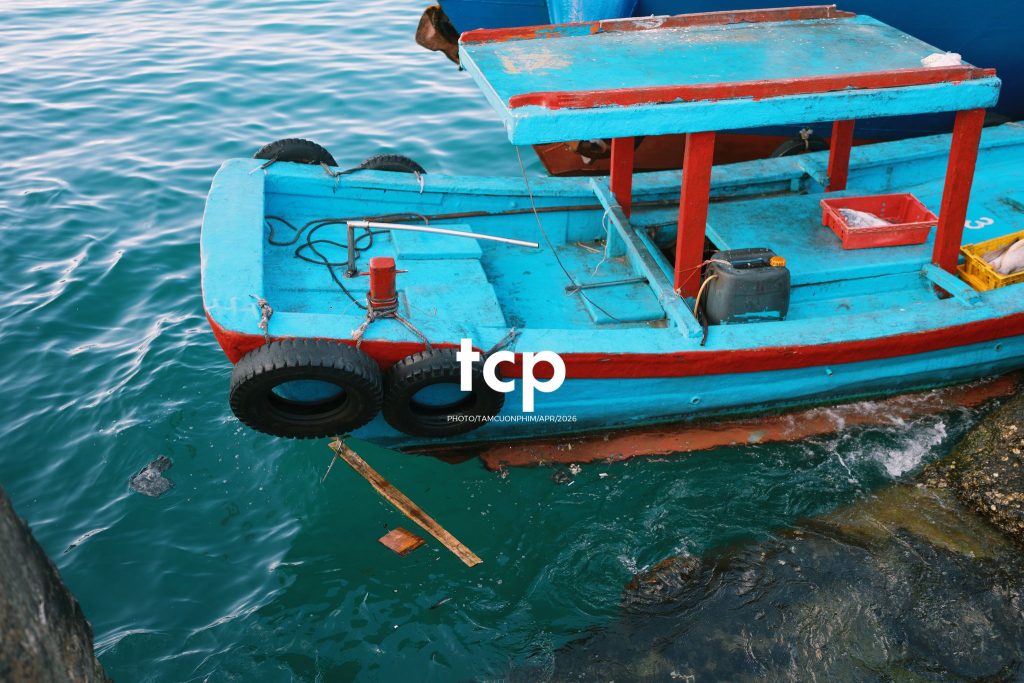 Tám Cuộn Phim - "Cân nhanh kẻo nắng lên, mẻ mực này tươi rói!"