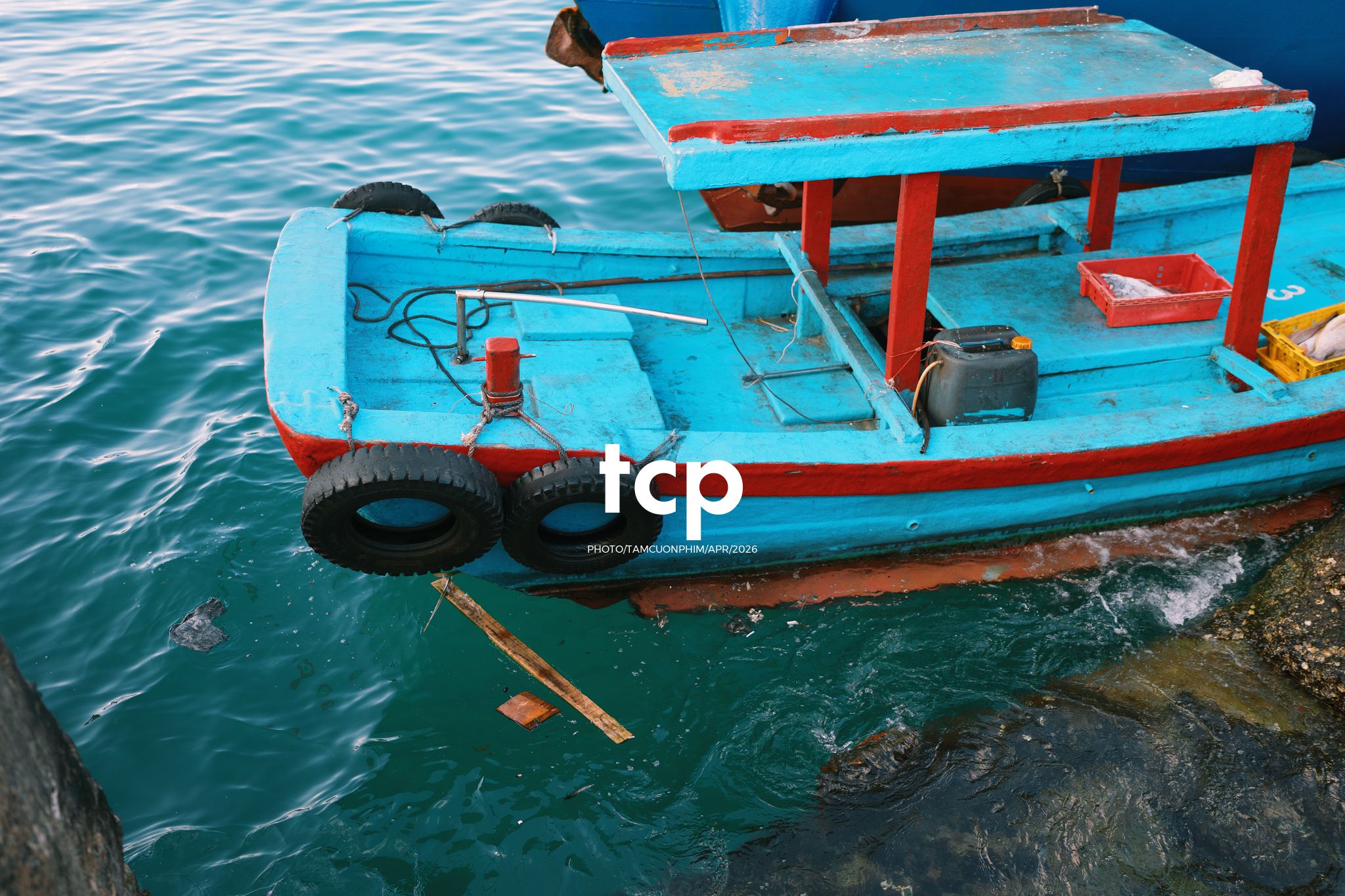 Tám Cuộn Phim - "Cân nhanh kẻo nắng lên, mẻ mực này tươi rói!"