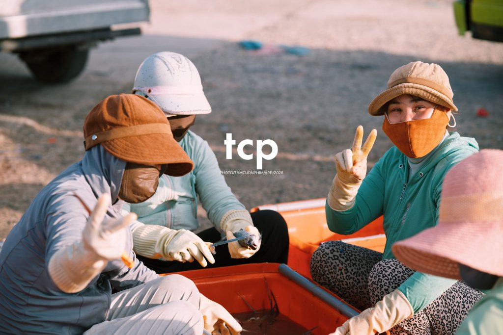 Tám Cuộn Phim - "Cân nhanh kẻo nắng lên, mẻ mực này tươi rói!"