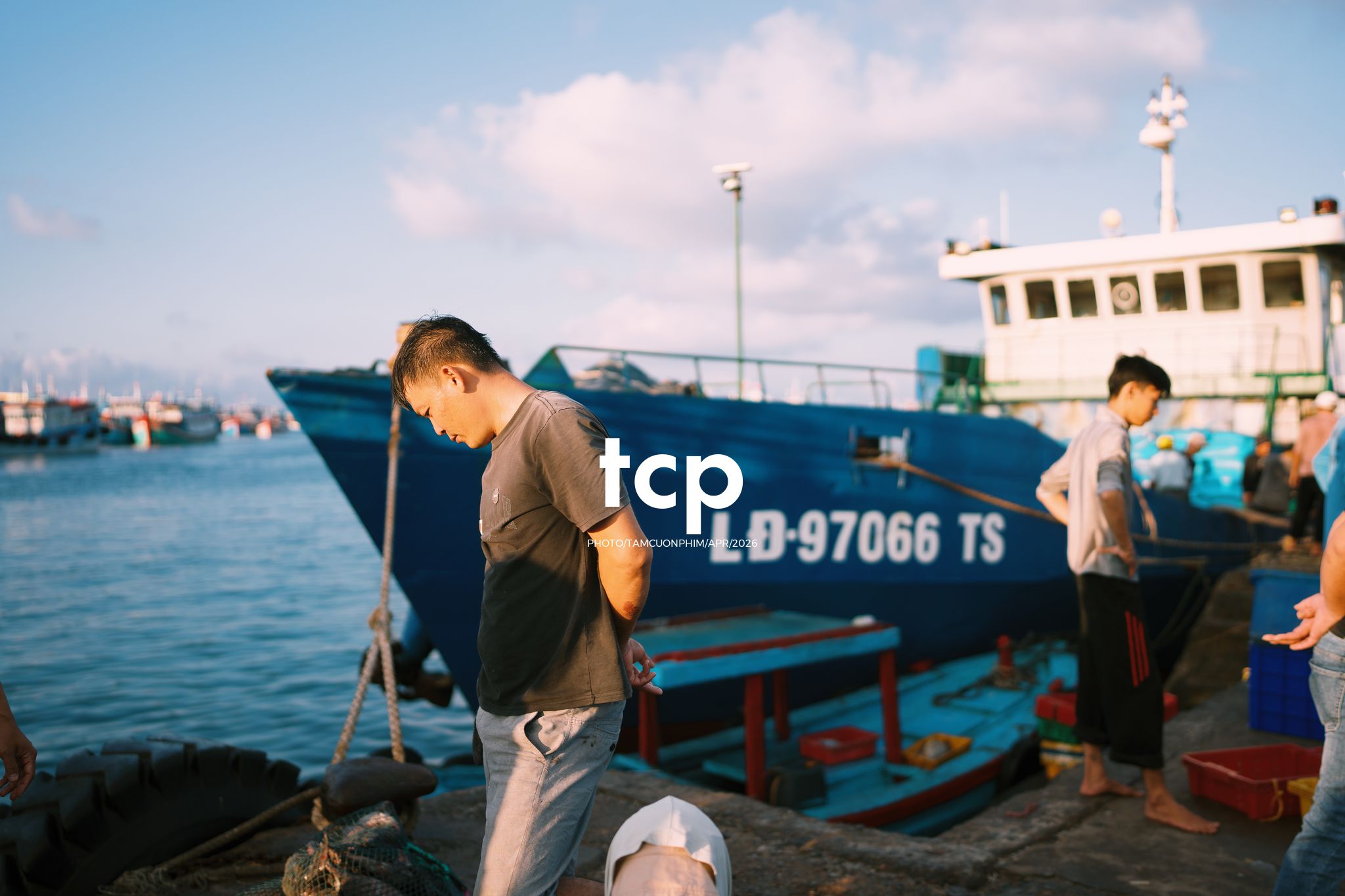Tám Cuộn Phim - "Cân nhanh kẻo nắng lên, mẻ mực này tươi rói!"