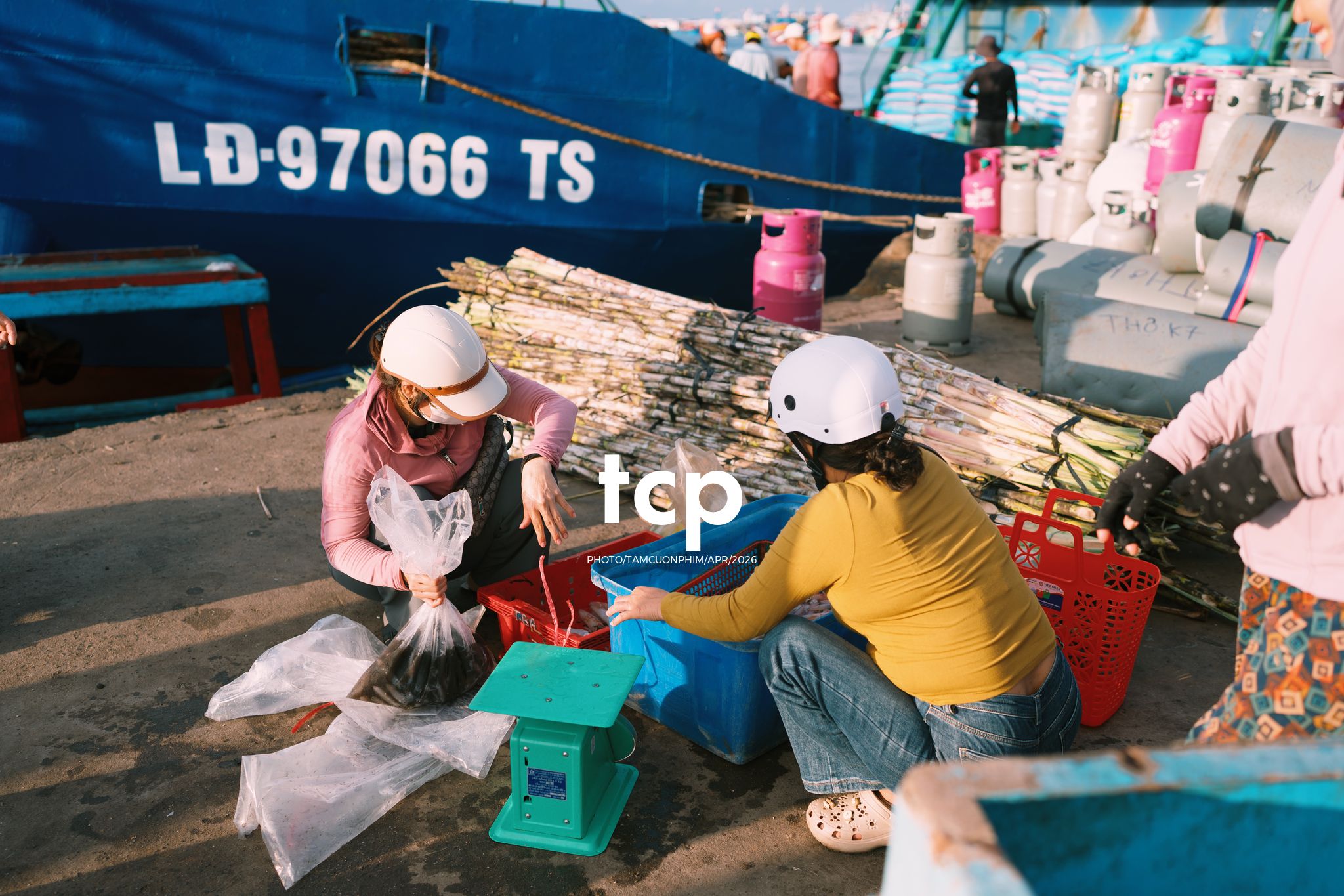 Tám Cuộn Phim - "Cân nhanh kẻo nắng lên, mẻ mực này tươi rói!"