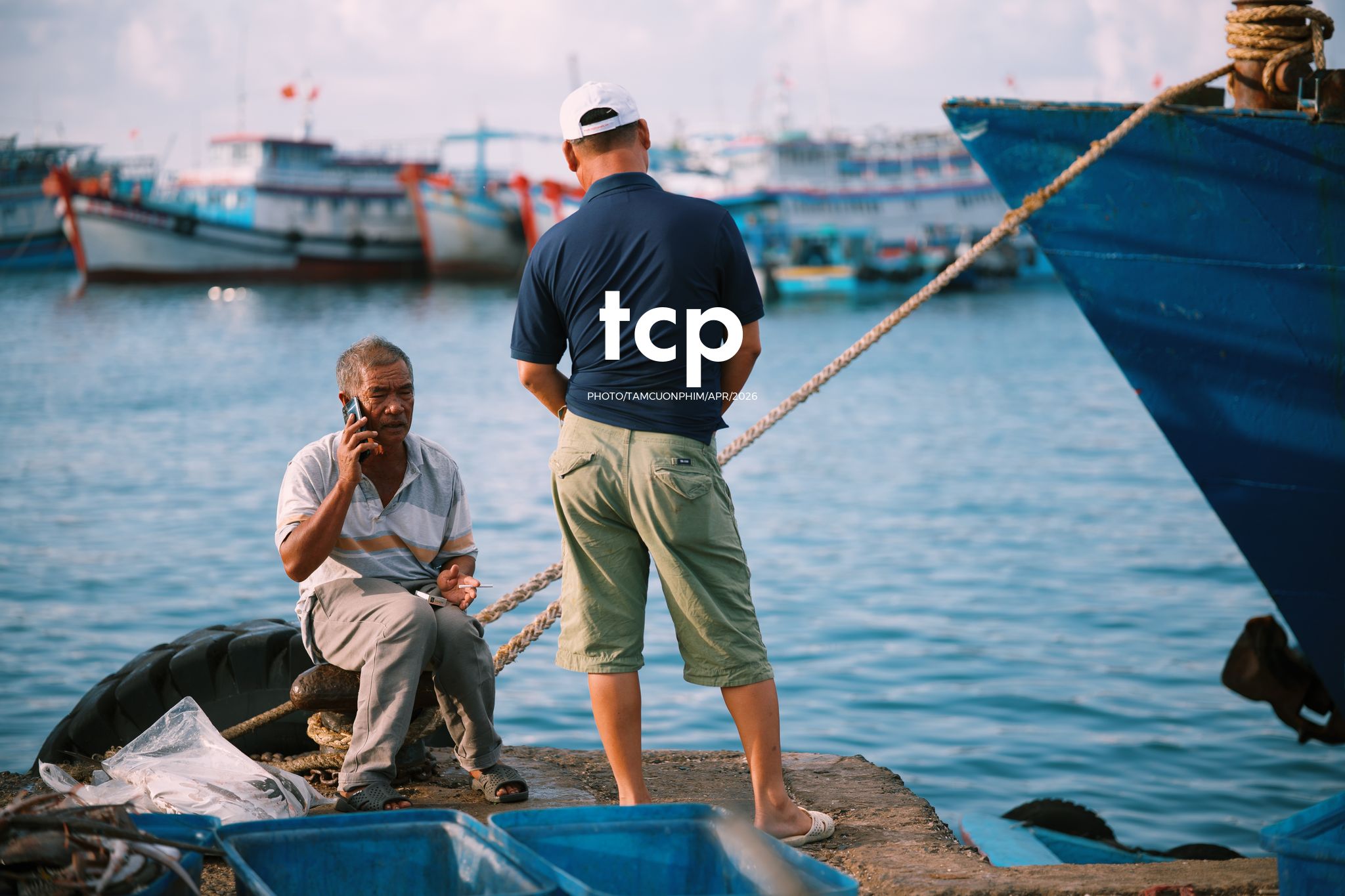 Tám Cuộn Phim - "Cân nhanh kẻo nắng lên, mẻ mực này tươi rói!"
