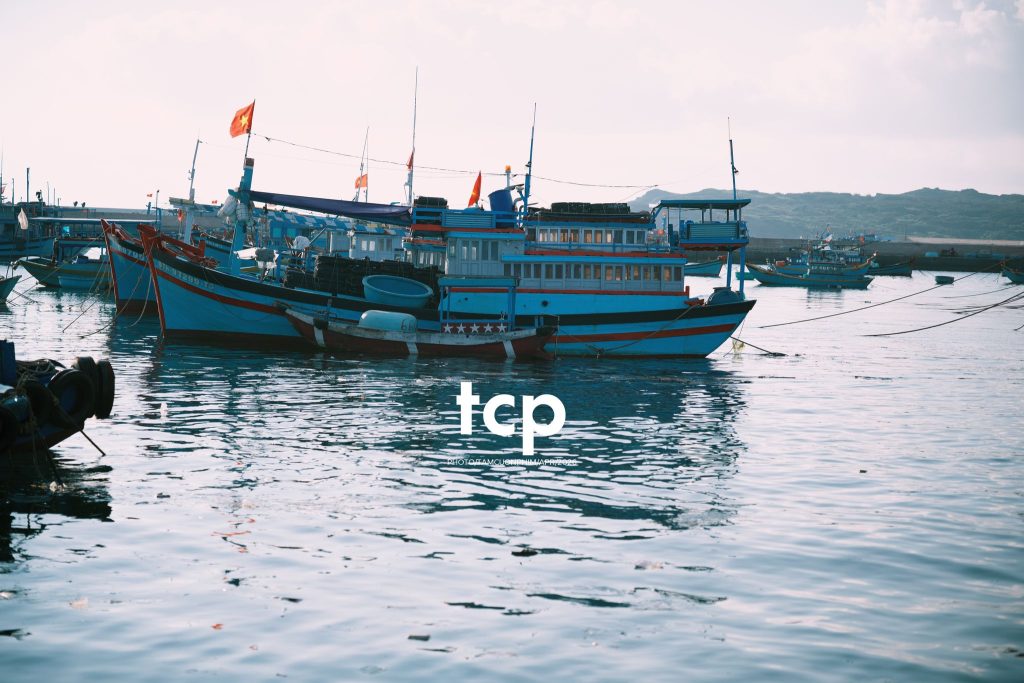Tám Cuộn Phim - "Cân nhanh kẻo nắng lên, mẻ mực này tươi rói!"