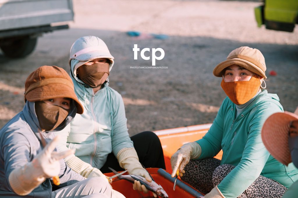 Tám Cuộn Phim - "Cân nhanh kẻo nắng lên, mẻ mực này tươi rói!"